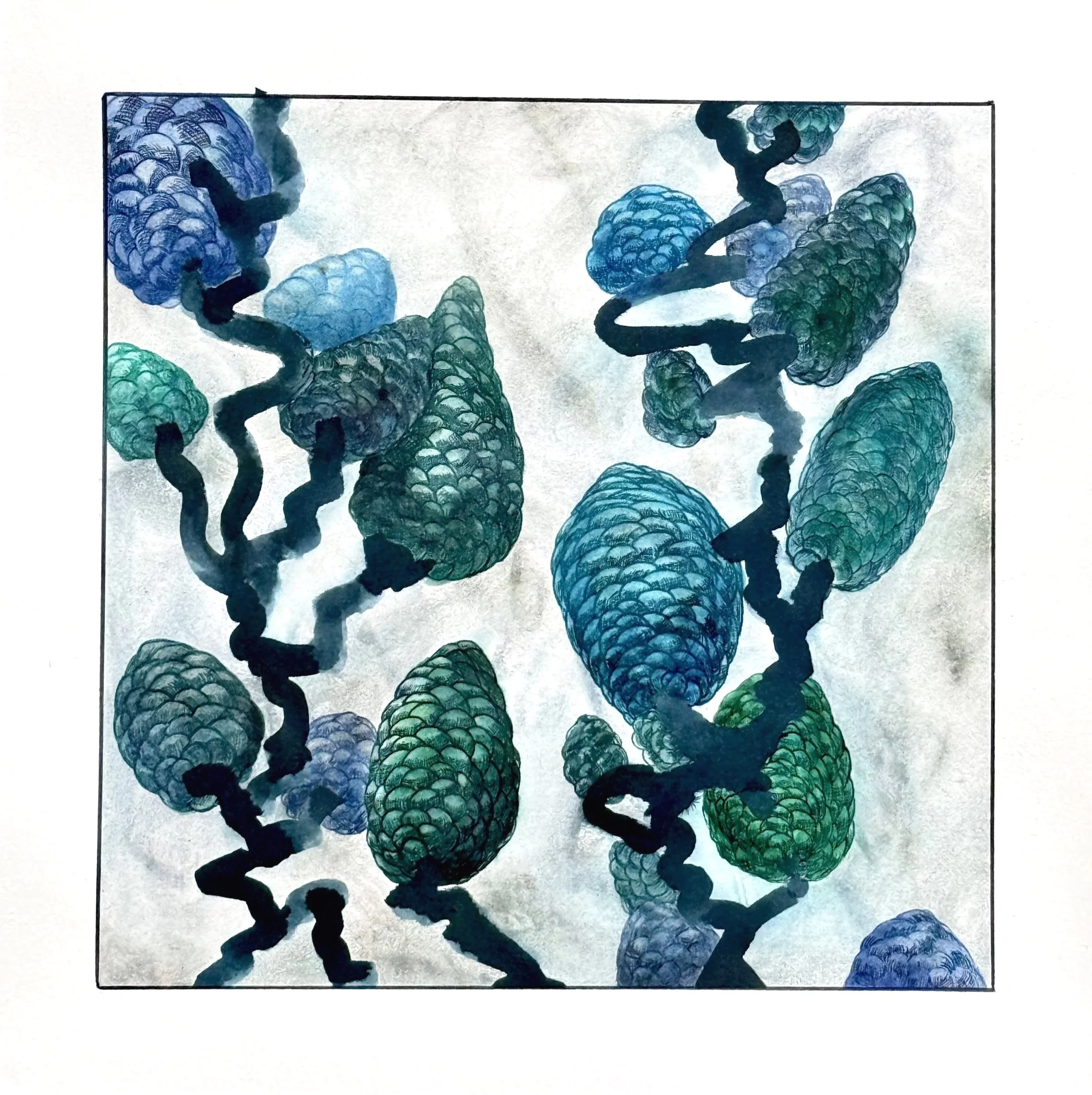 Le temps des fleurs, 2025, Encre sur velin d’Arches, 31x31
