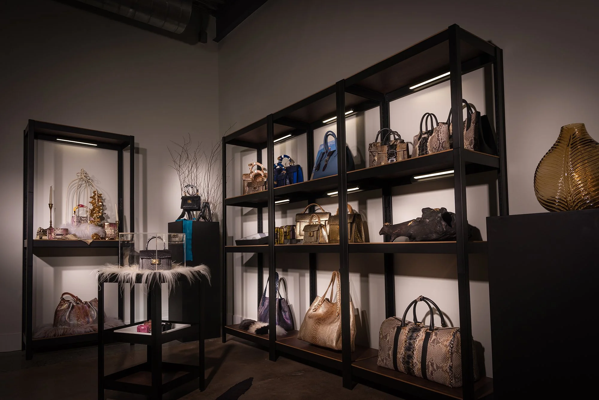 Spotlight MAIN 1 copy.jpg