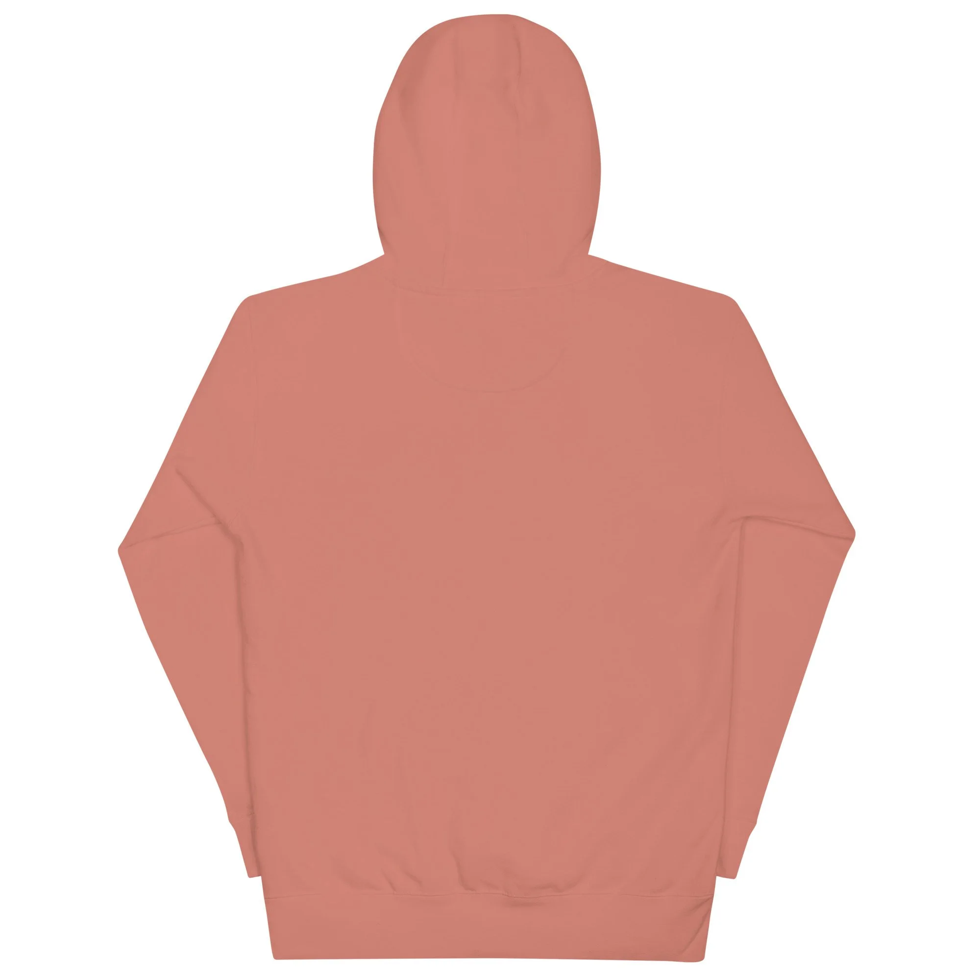 unisex-premium-pullover-hoodie-dusty-rose-back-6a474145dd271.jpg