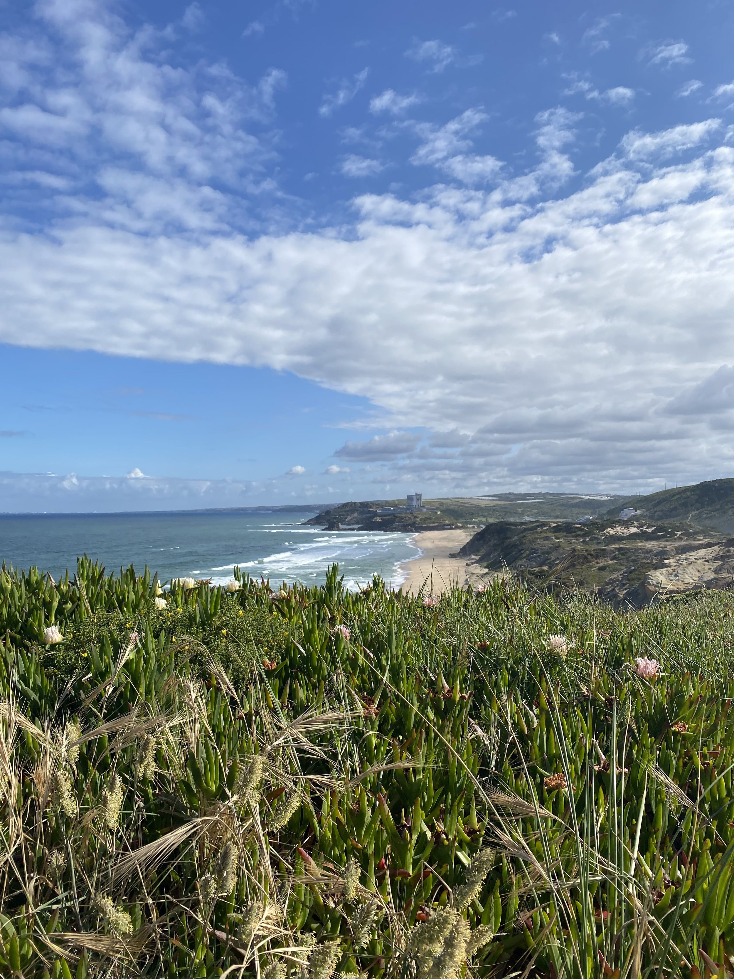 Therapy and Yoga Retreat in Portugal, by the Ocean