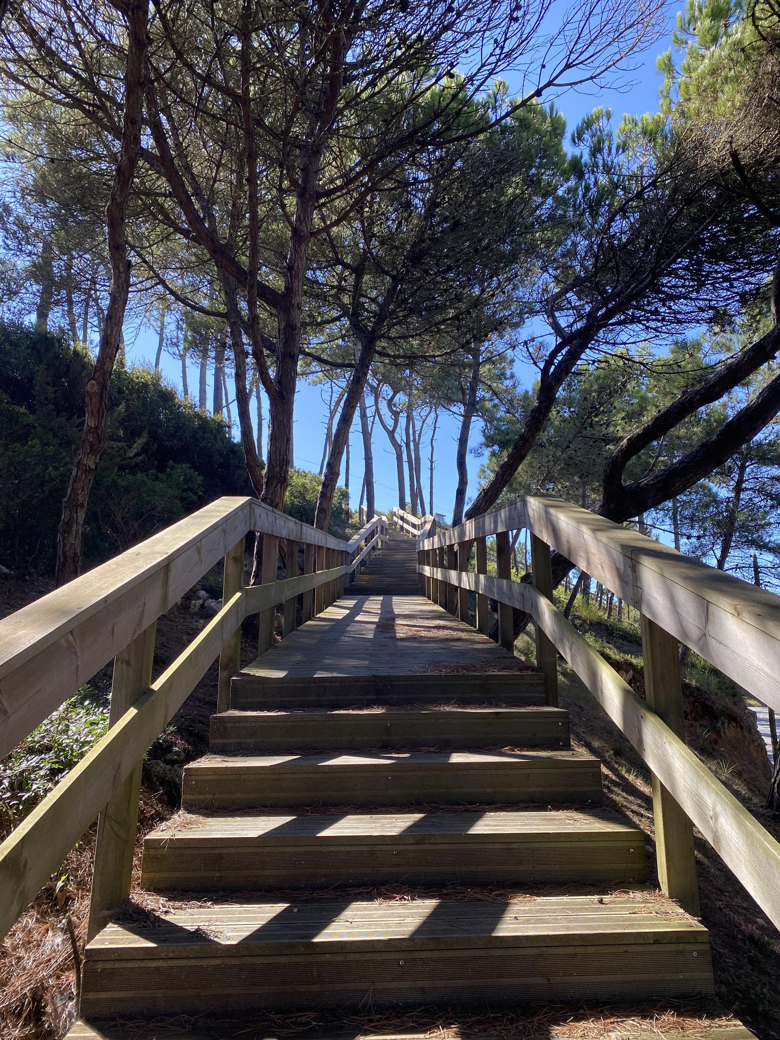 Yoga Retreat in Portugal