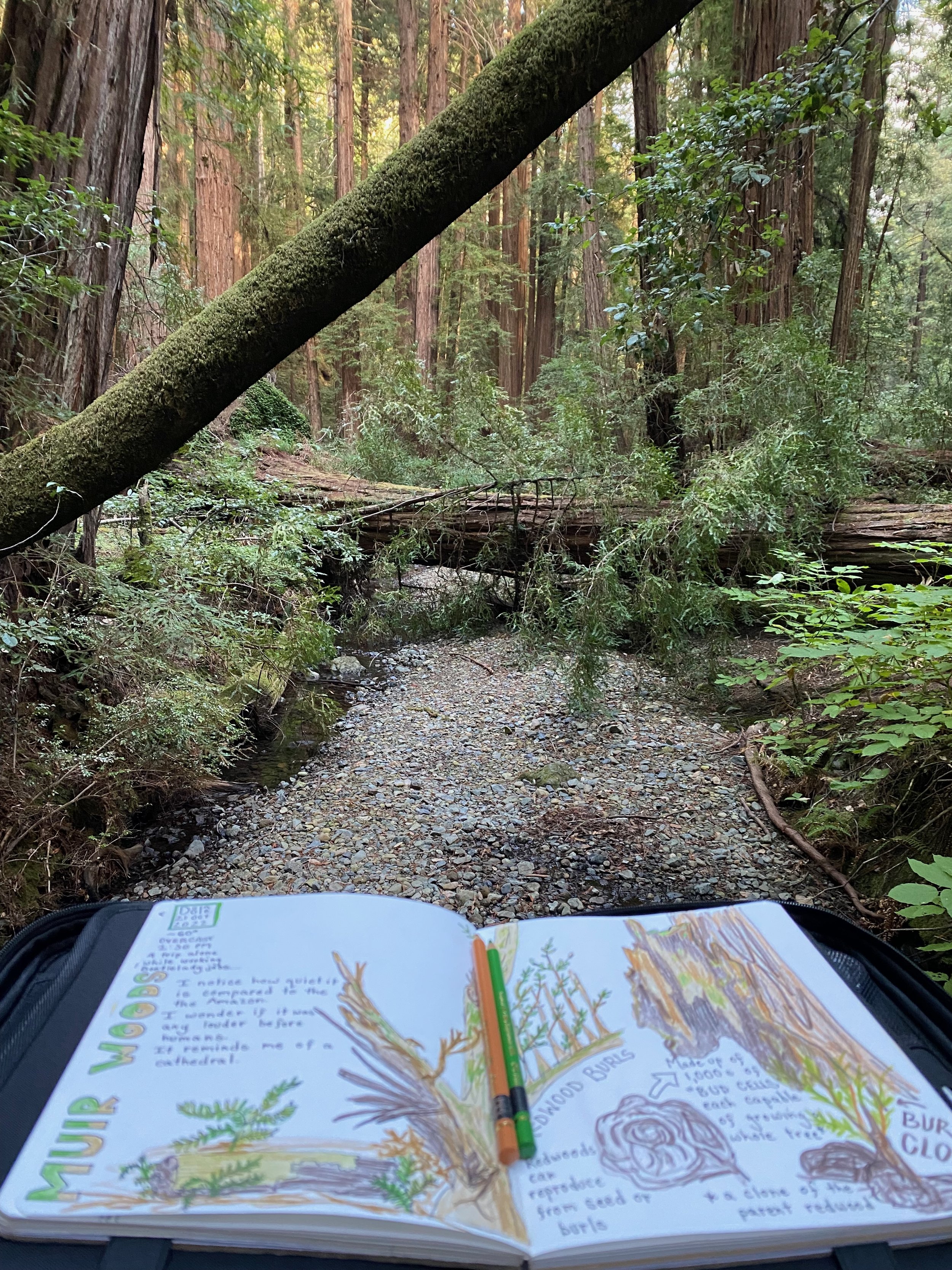 Intro to Nature Journalig