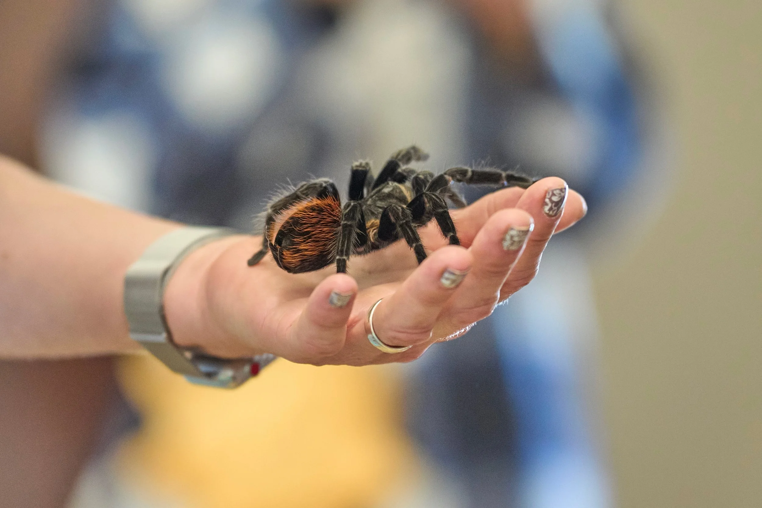 Beetlelady Storytime