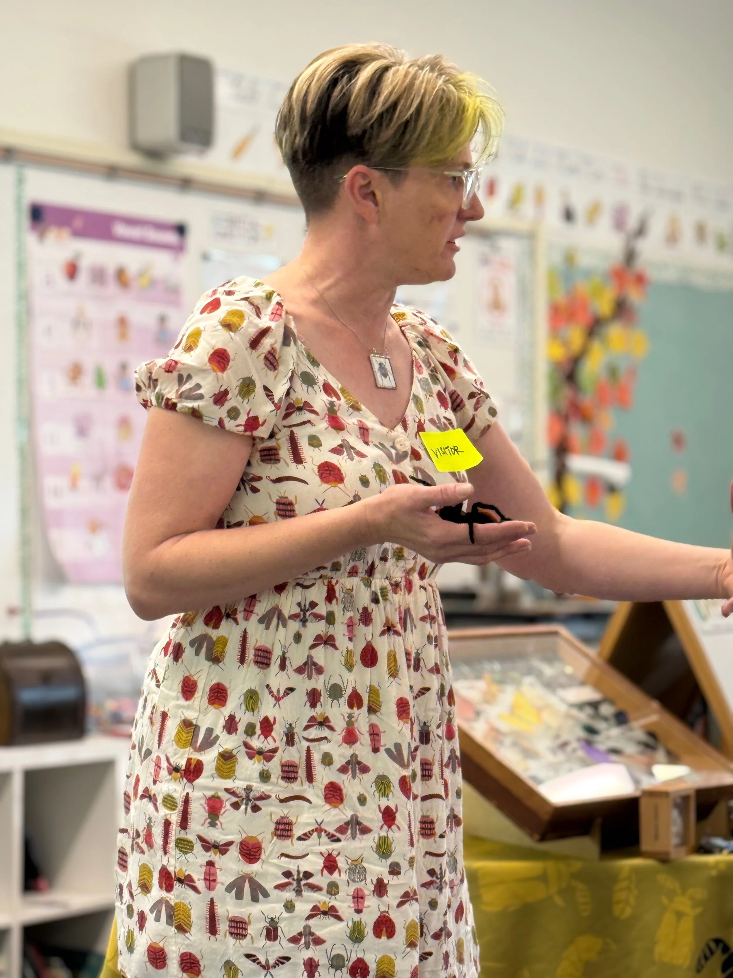 Beetlelady Storytime