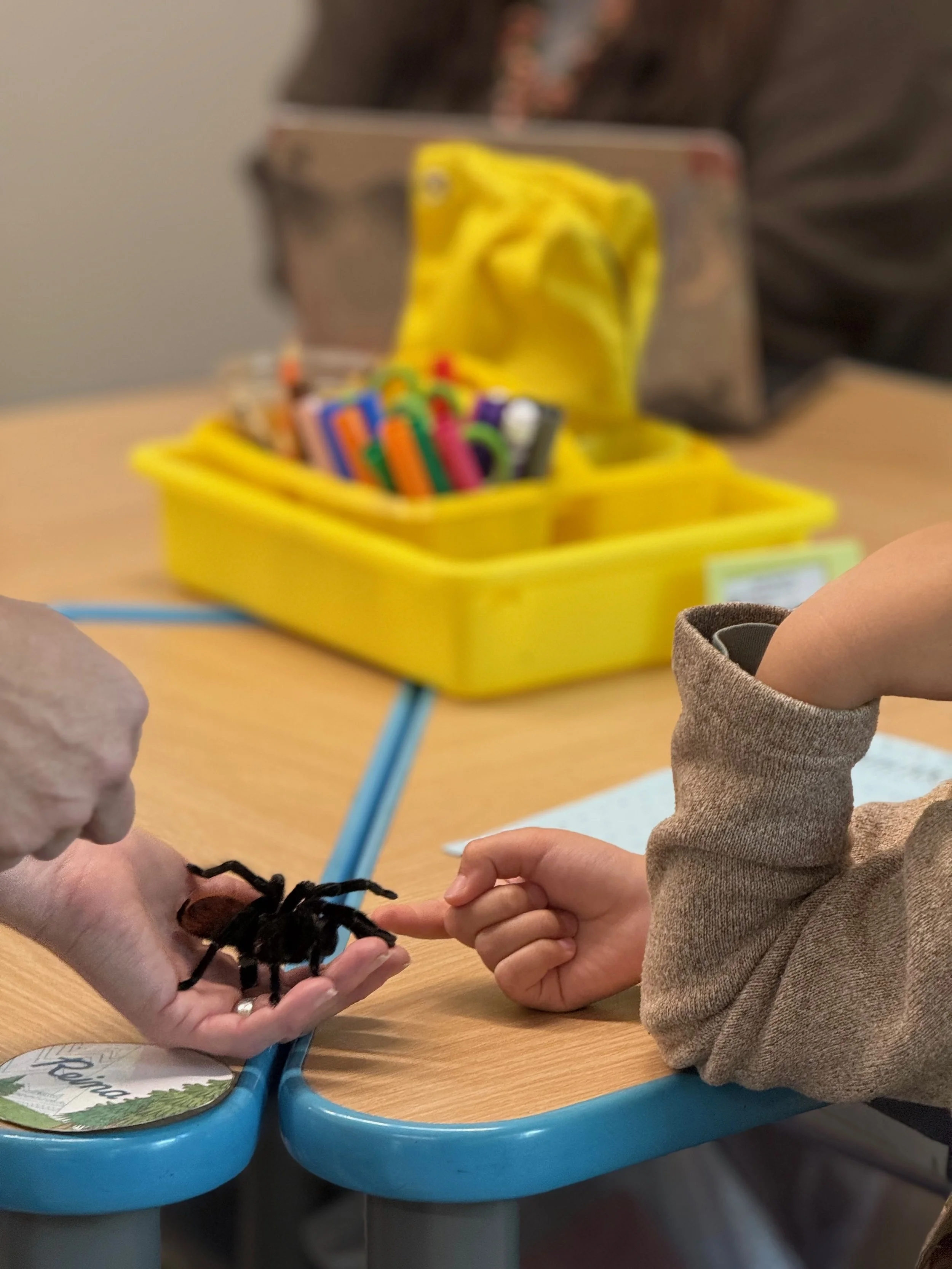 Beetlelady Storytime