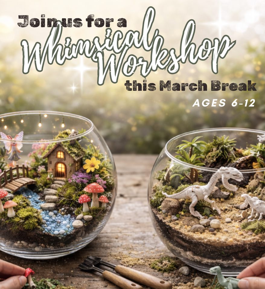 MARCH BREAK: WHIMSICAL WORKSHOPS