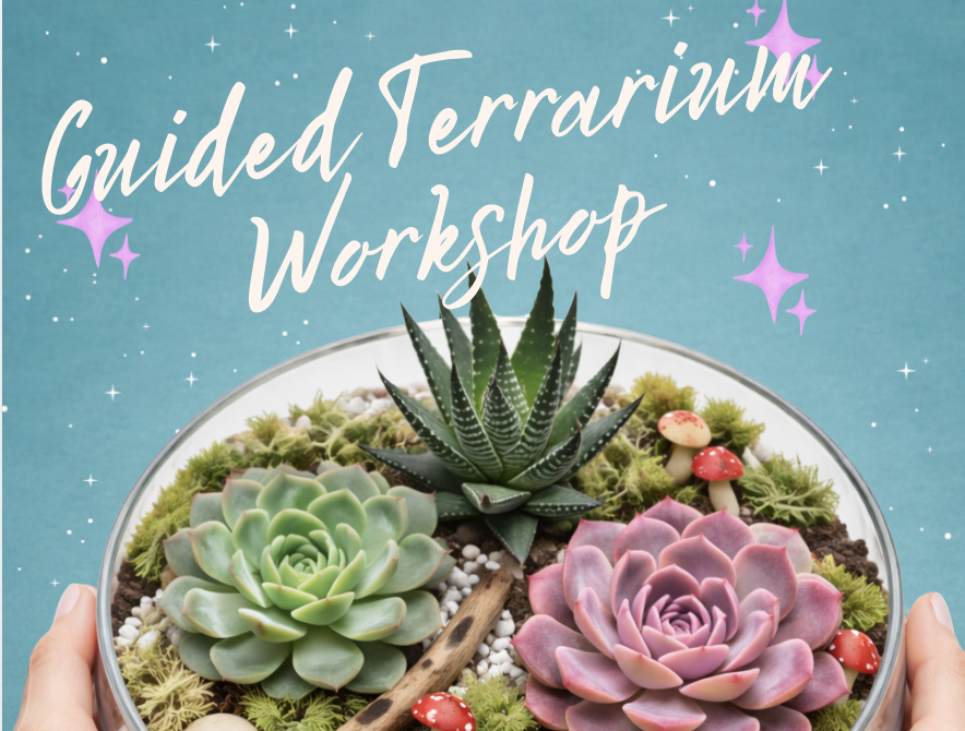 Screenshot 2026-04-16 at 2.42.35 PM.png