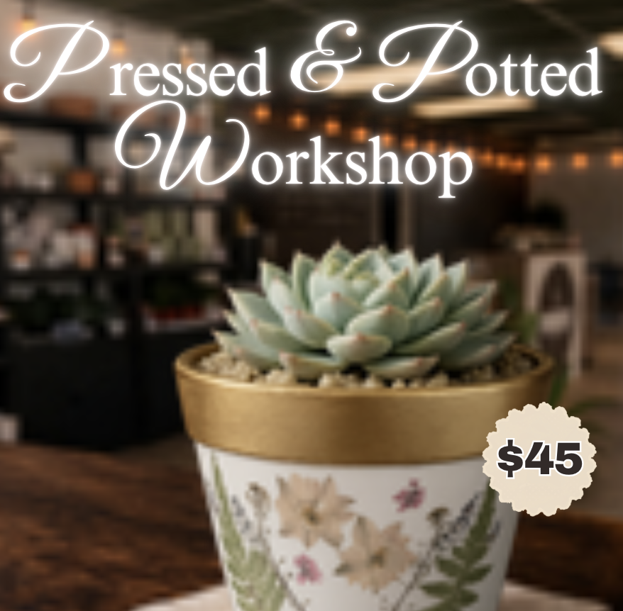 Screenshot 2026-04-20 at 2.42.46 PM.png