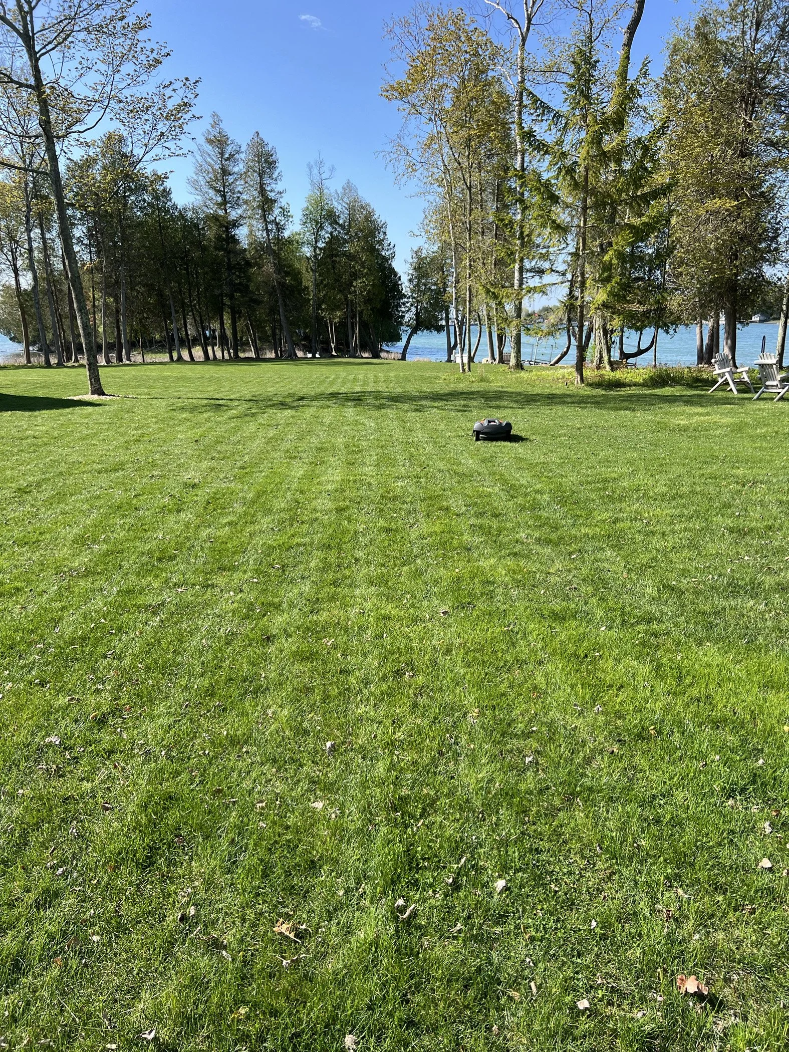 A large grassy lawn with trees in the background and a lake visible beyond the trees. A robotic lawn mower is positioned on the grass and there are Adirondack chairs to the right.