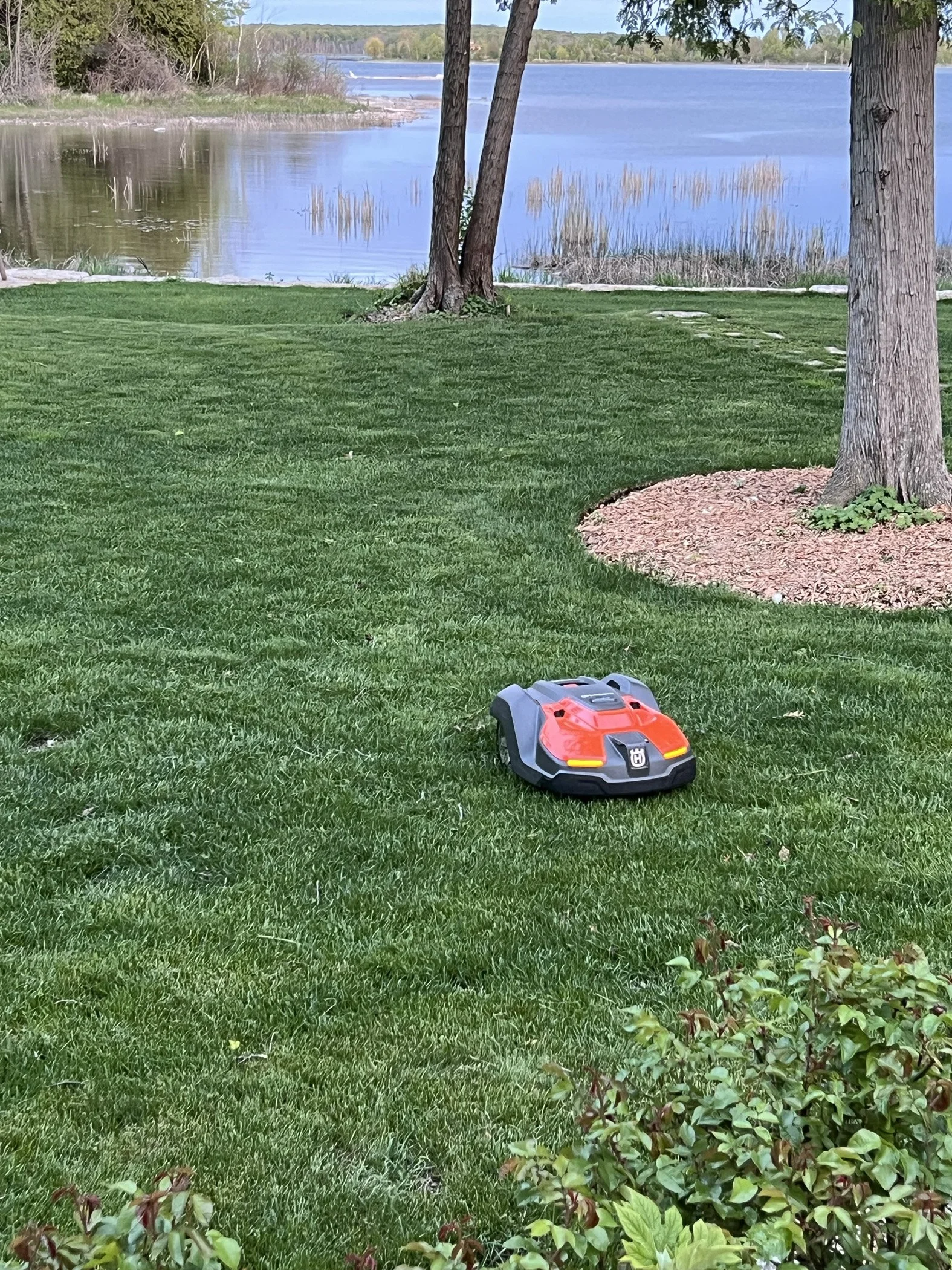 Robotic lawn mower on grass by a lake with trees and shrubs in the background.