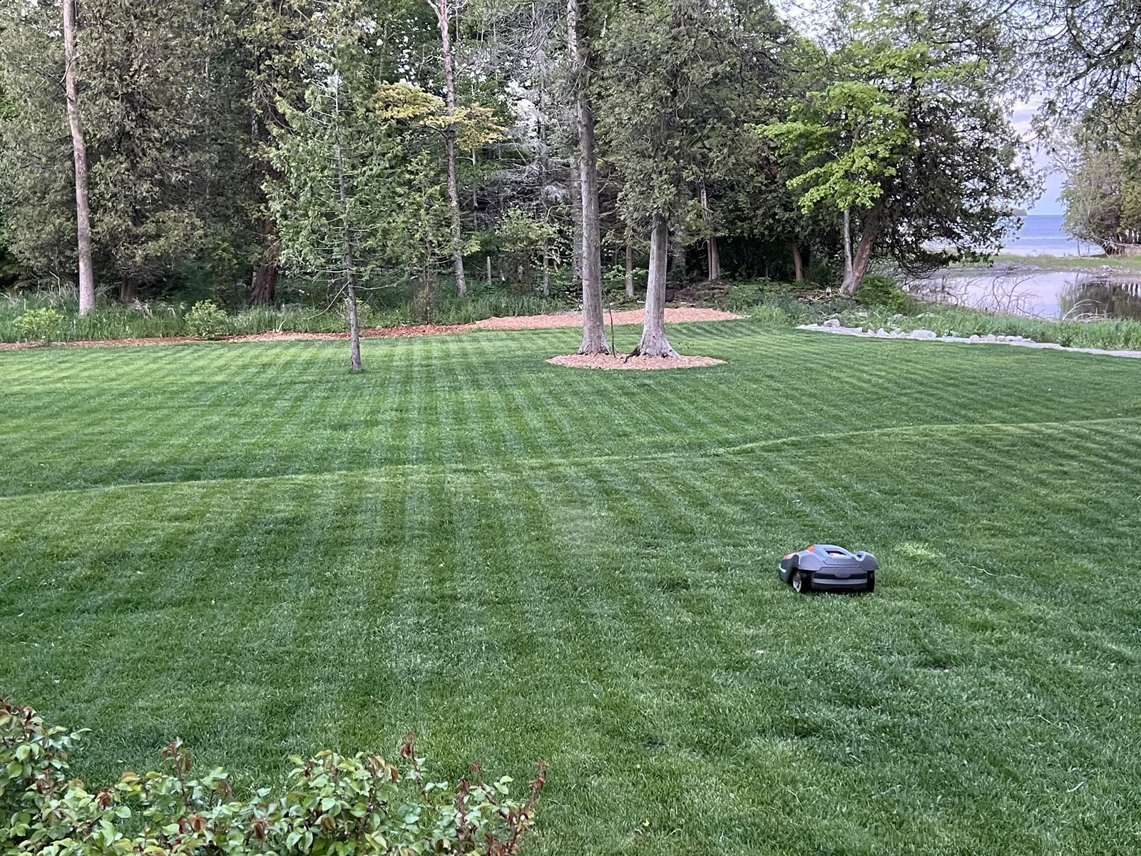 A neatly mowed lawn with striped patterns, surrounded by trees and a nearby lake. A robotic lawn mower is visible on the grass.