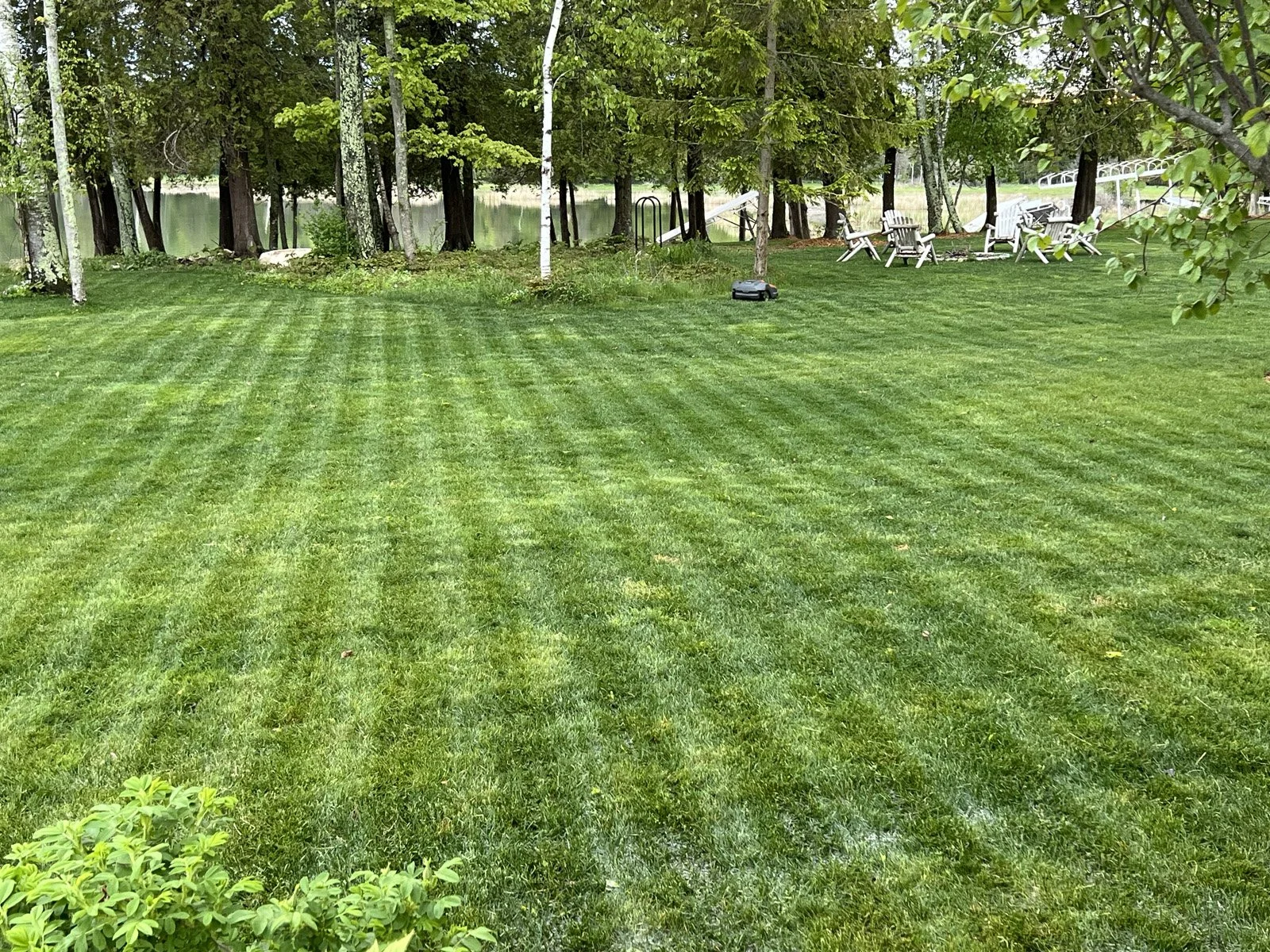 Lawn with striped mowing pattern, surrounded by trees and Adirondack chairs in the background.