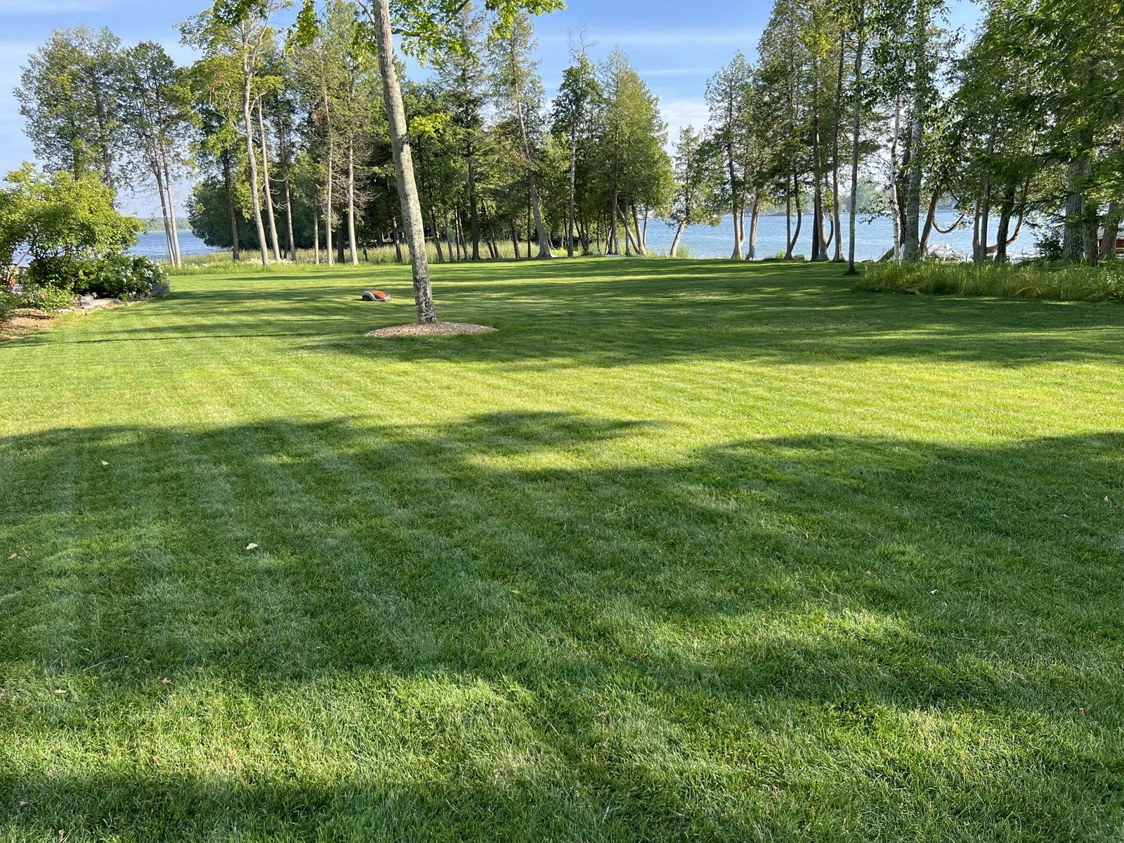 A large, well-maintained grassy lawn surrounded by tall trees, with a glimpse of a lake in the background. The scene is sunlit, casting shadows on the grass.