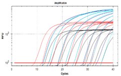 Graph showing amplification over cycles with multiple curves in various colors.