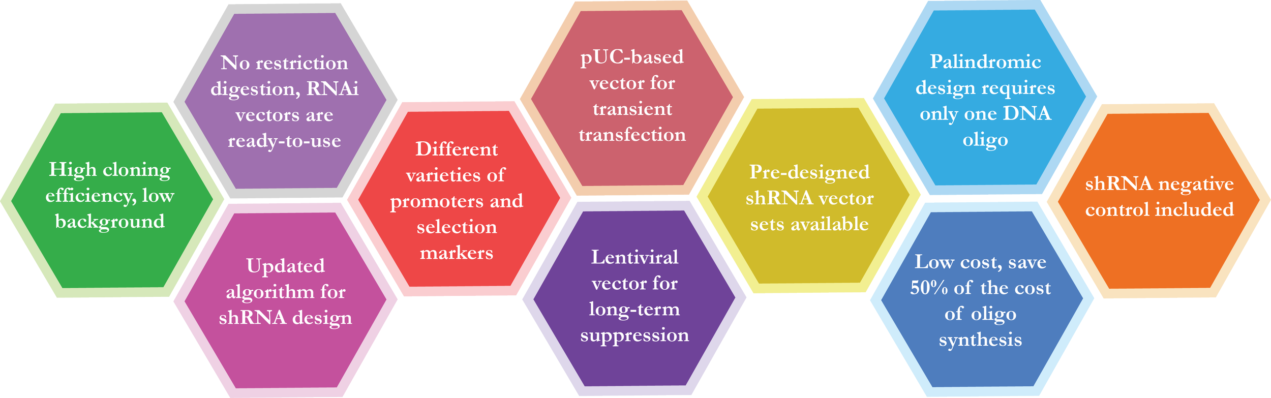 A colorful infographic with hexagon-shaped sections describing steps in a scientific process related to shRNA design and synthesis. The steps include high cloning efficiency, updated algorithms, diverse promoters, vectors, and other technical details.