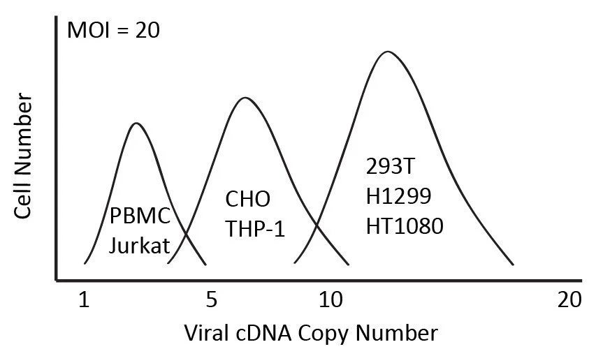 Line graph showing cell number versus viral cDNA copy number with three peaks labeled PBMC Jurkat, CHO THP-1, and 293T H1299 HT1080, measuring MOI of 20.