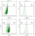 Four scatter plots showing data points with fluorescence intensity on axes, likely flow cytometry data, with different gating regions highlighted.