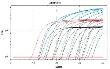 Line graph depicting RFU over cycles with multiple color-coded curves showing amplification levels.