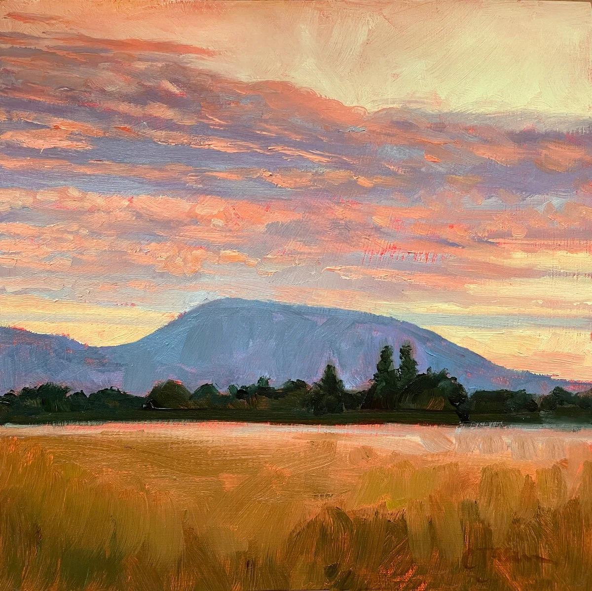 GoldemFields-SM.jpg