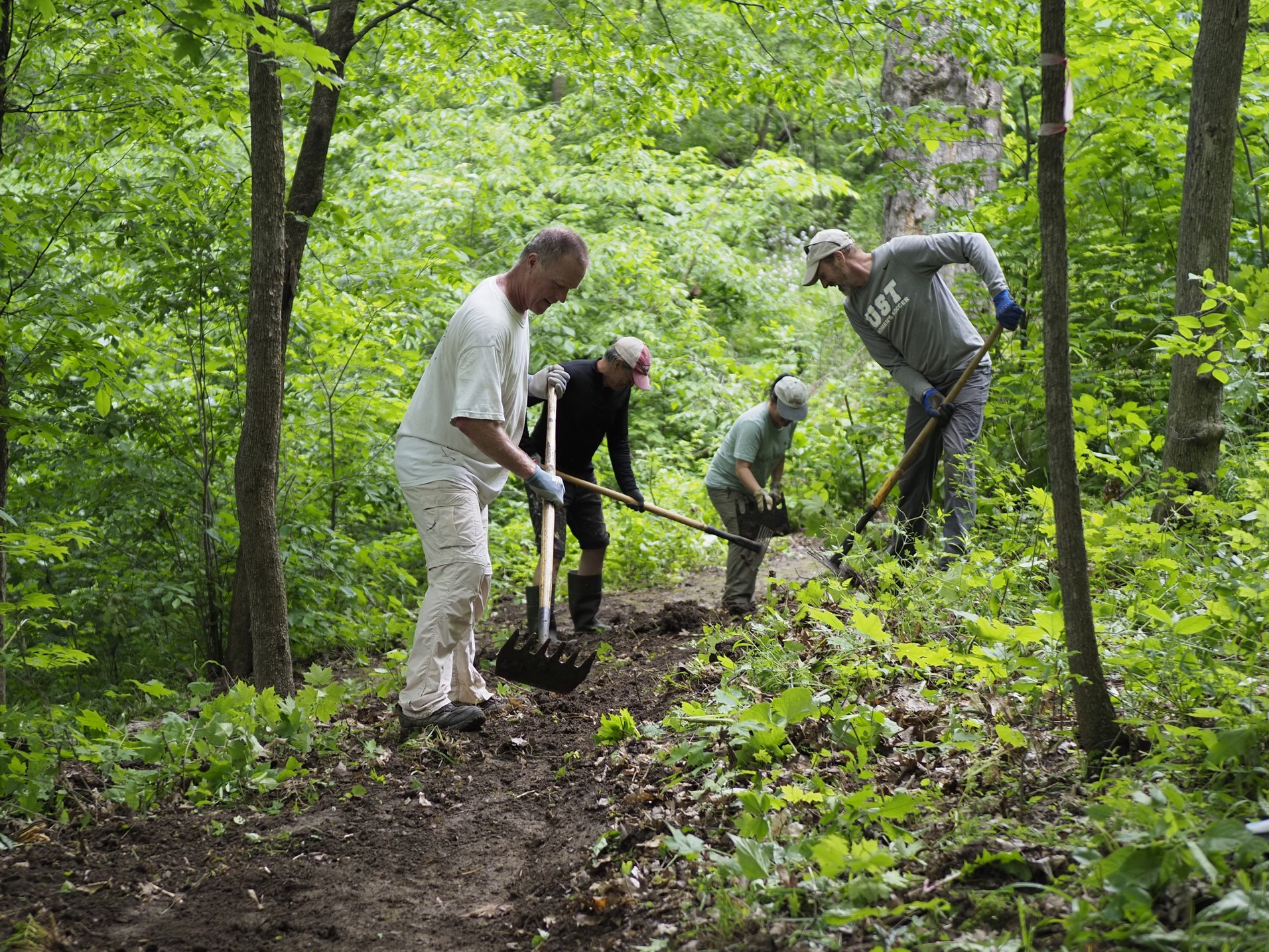 New Glarus Woods Spring Workday