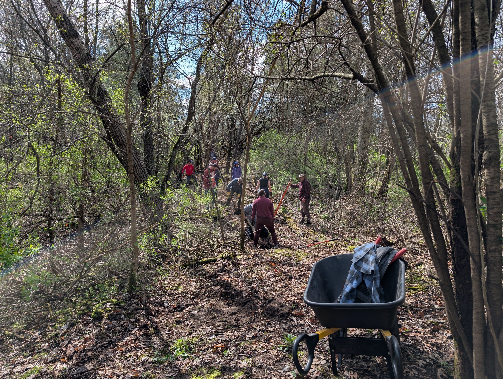 TrailWork02.jpg