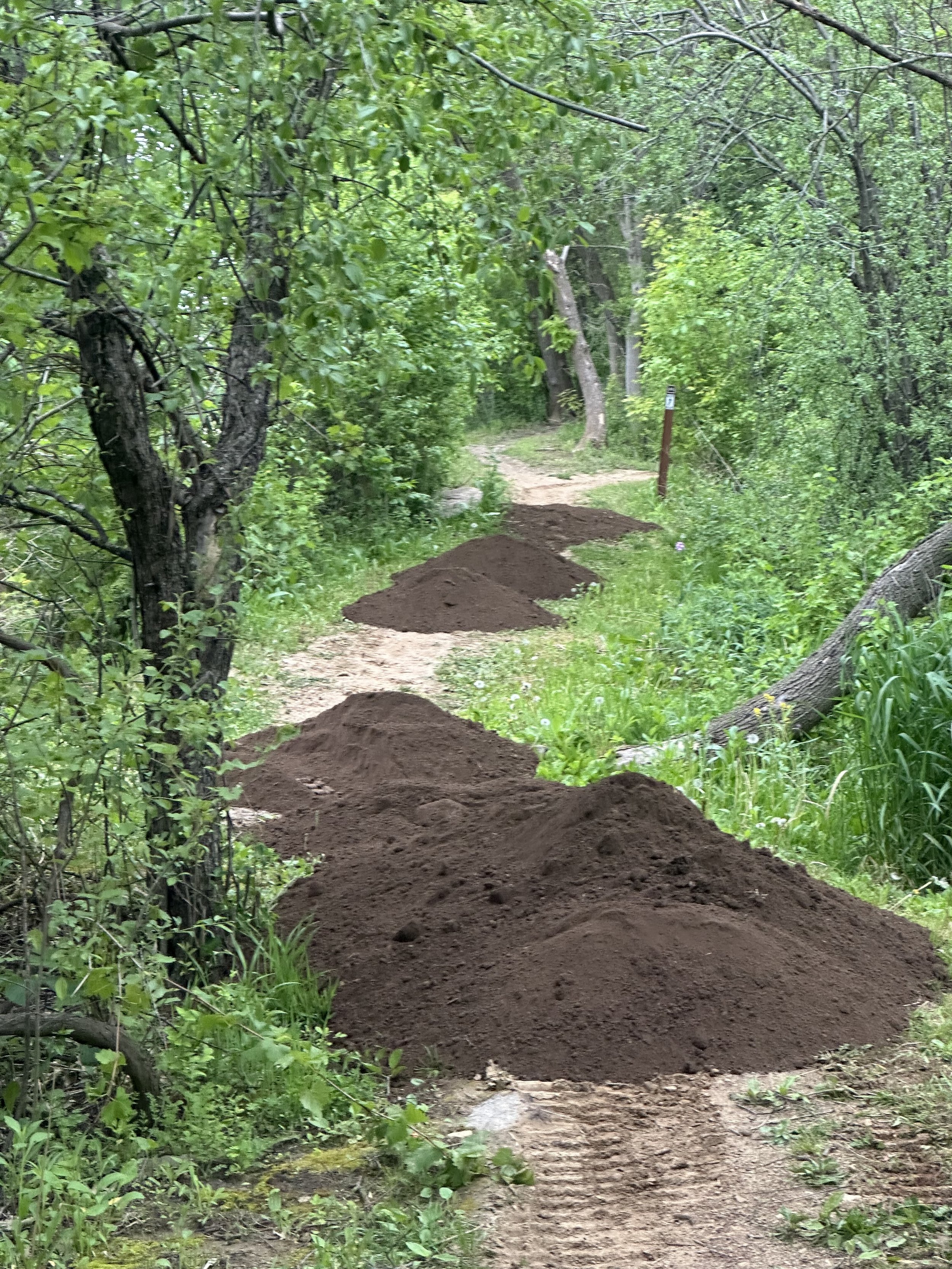 TrailWork03.jpeg