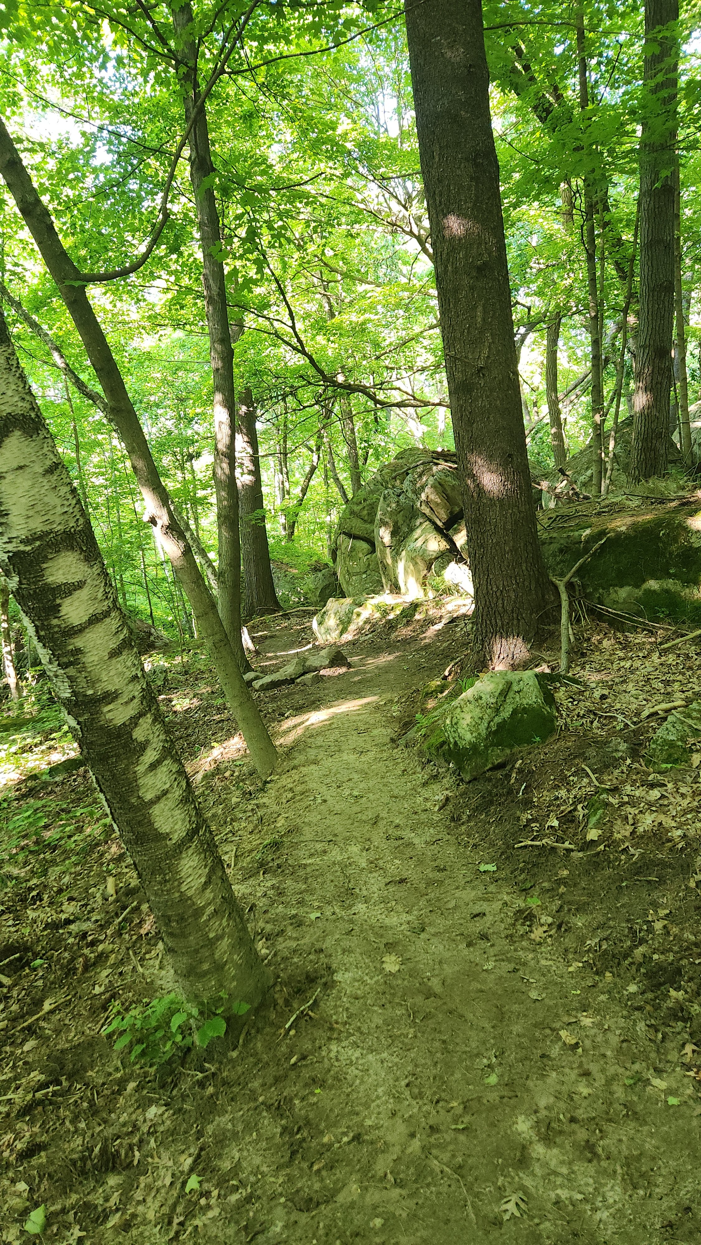 New Trail Additions Open at Dodgeville