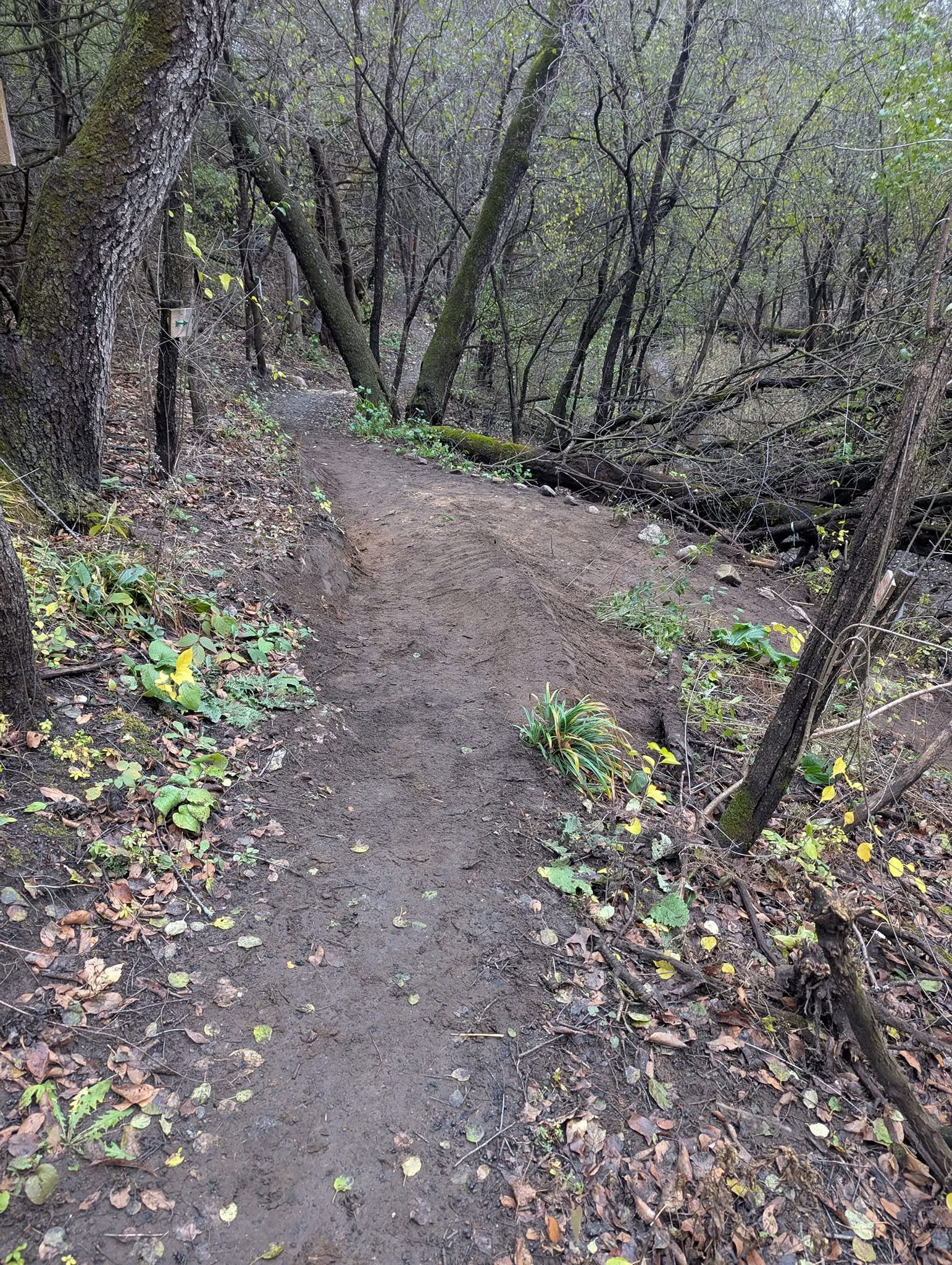 Baraboo03.jpg