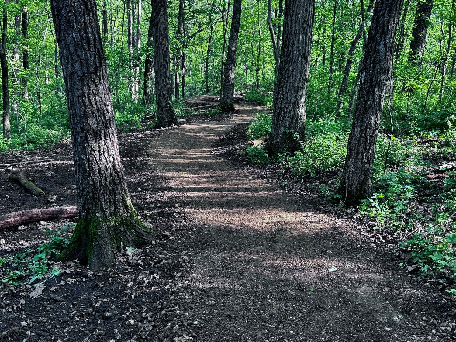 Path Conditions Trail Conditions — CORP Trails