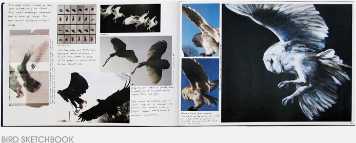 bird_sketchbook.jpg
