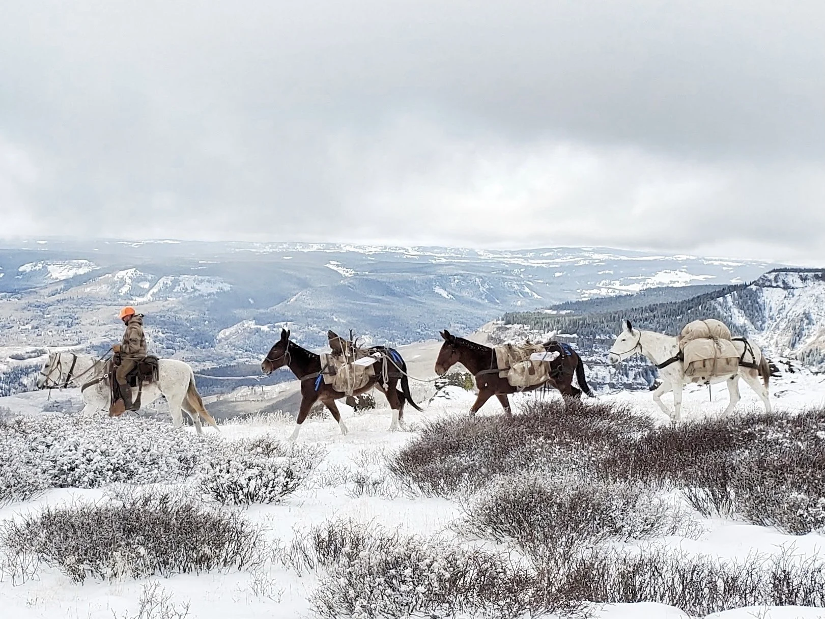 FullSizeRender (3).JPG