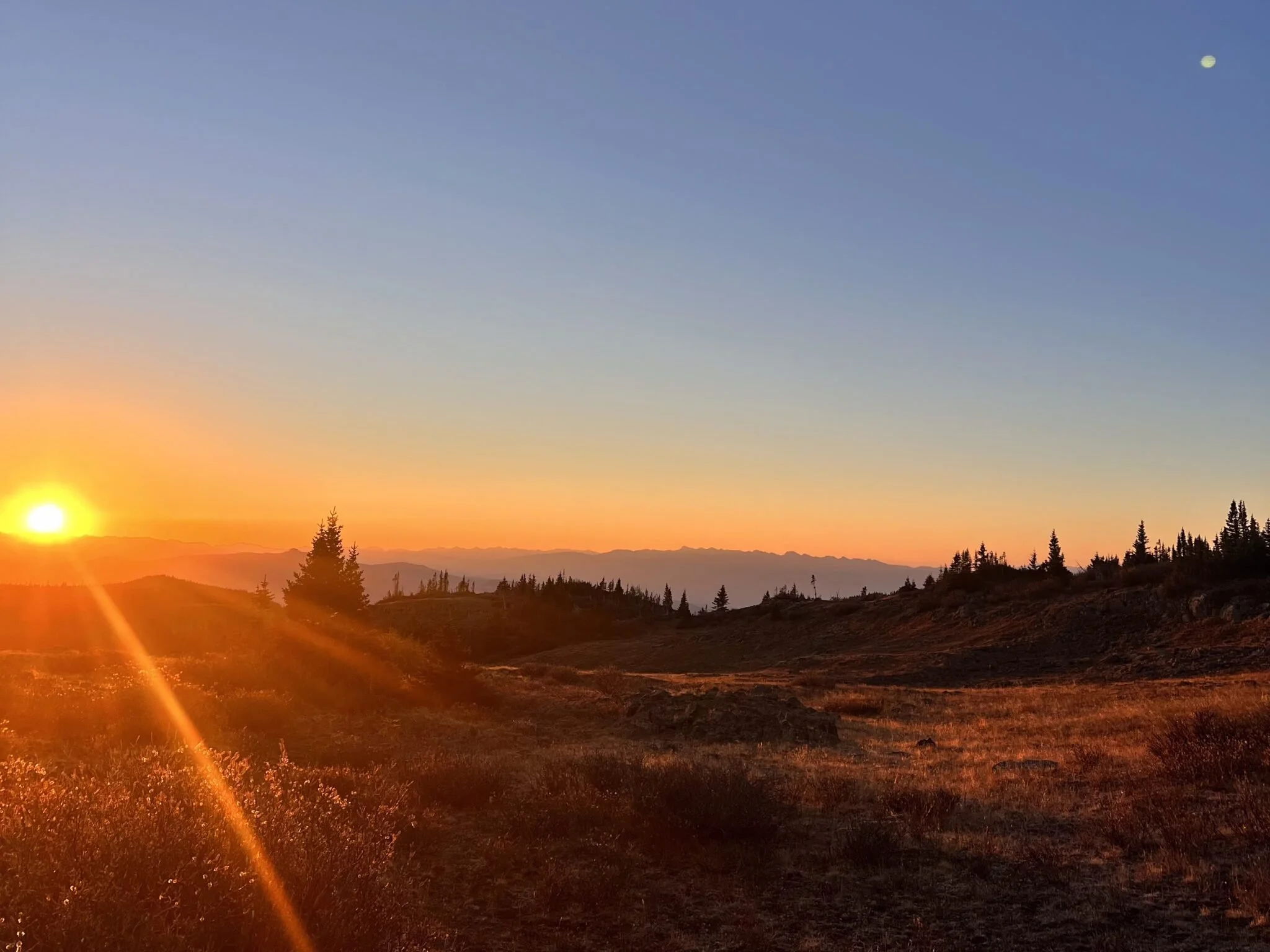 Flat Tops Wilderness Guides 2025 Season Recap, Availability, Colorado’s Hunting Outlook