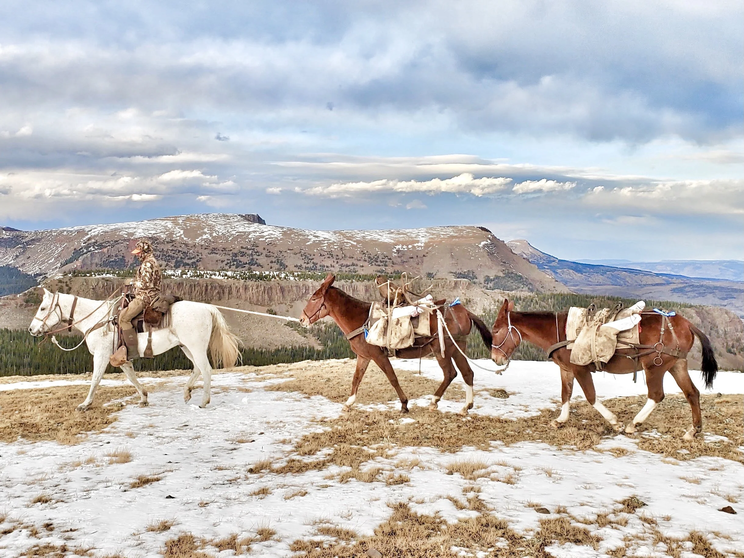 FullSizeRender (2).JPG