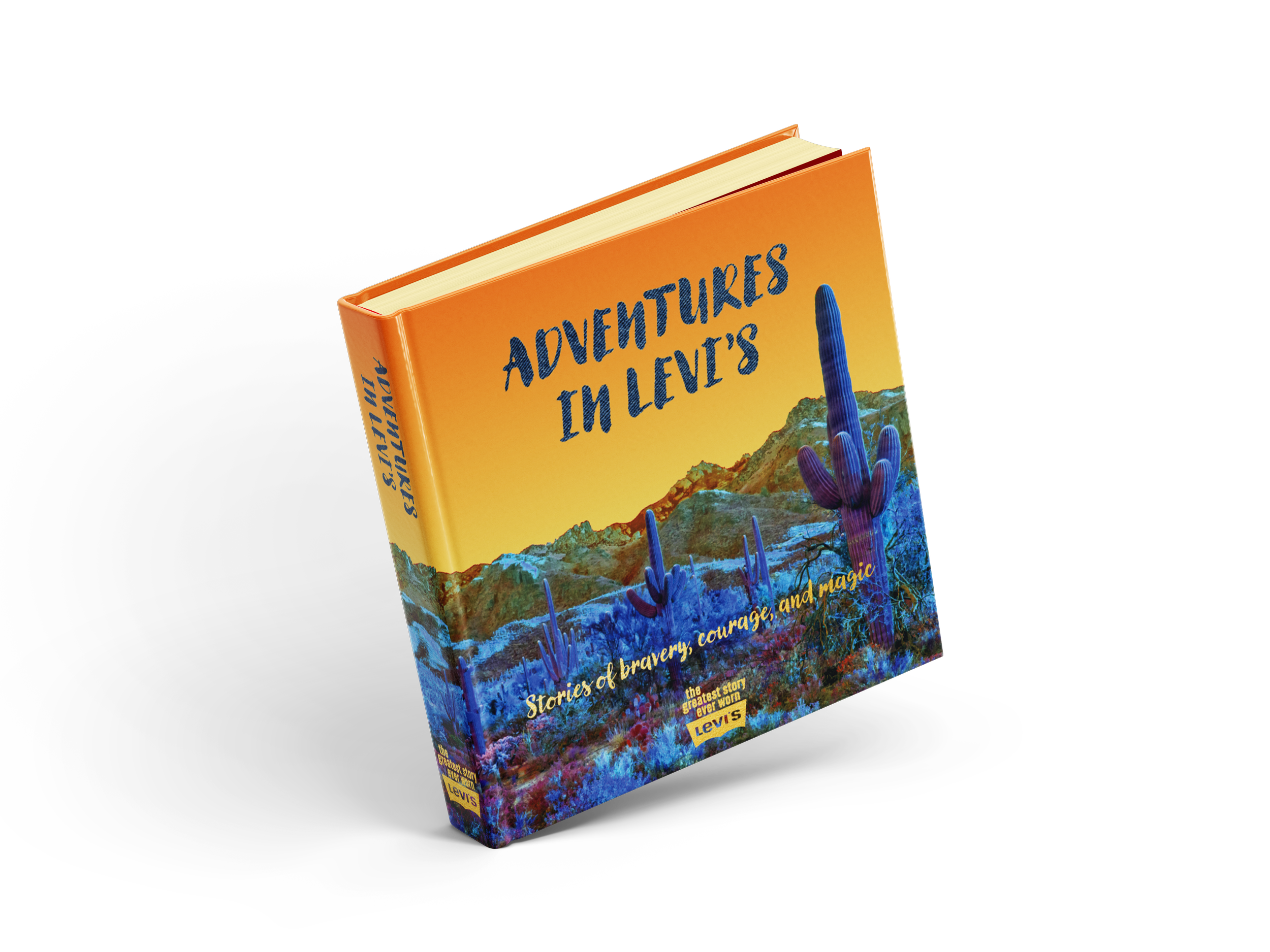 Levi’s501_EvangelineGichina