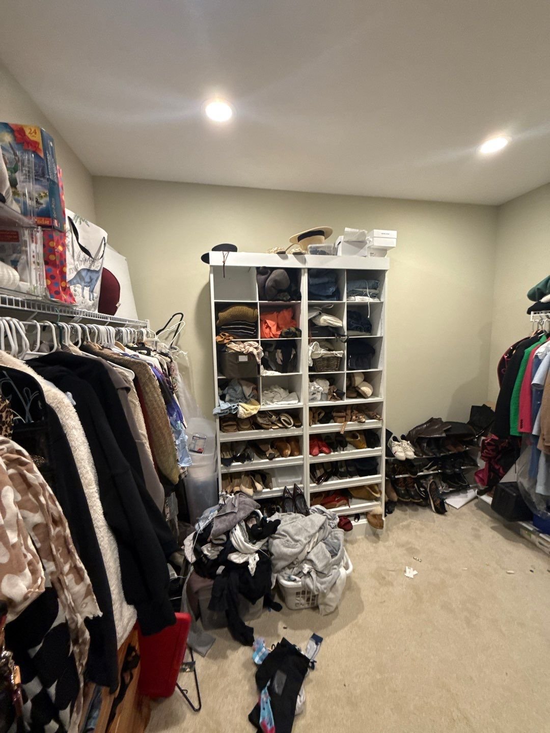 Wexford Closet Before