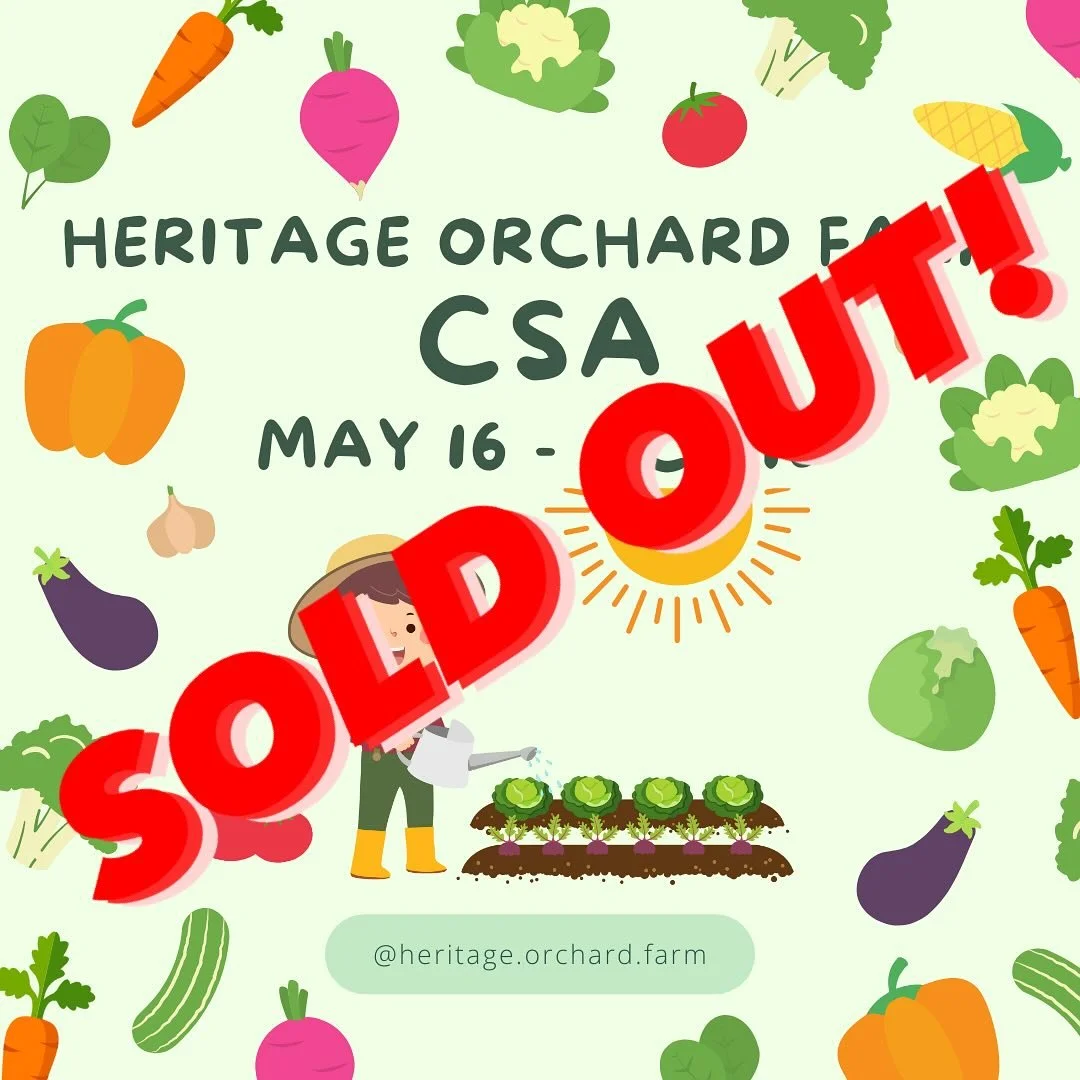 CSA shares for the 2025 season are officially SOLD OUT! 

Thank you to all of our customers!  We&rsquo;re so excited to grow together this season!

#csa #refenerativeagriculture