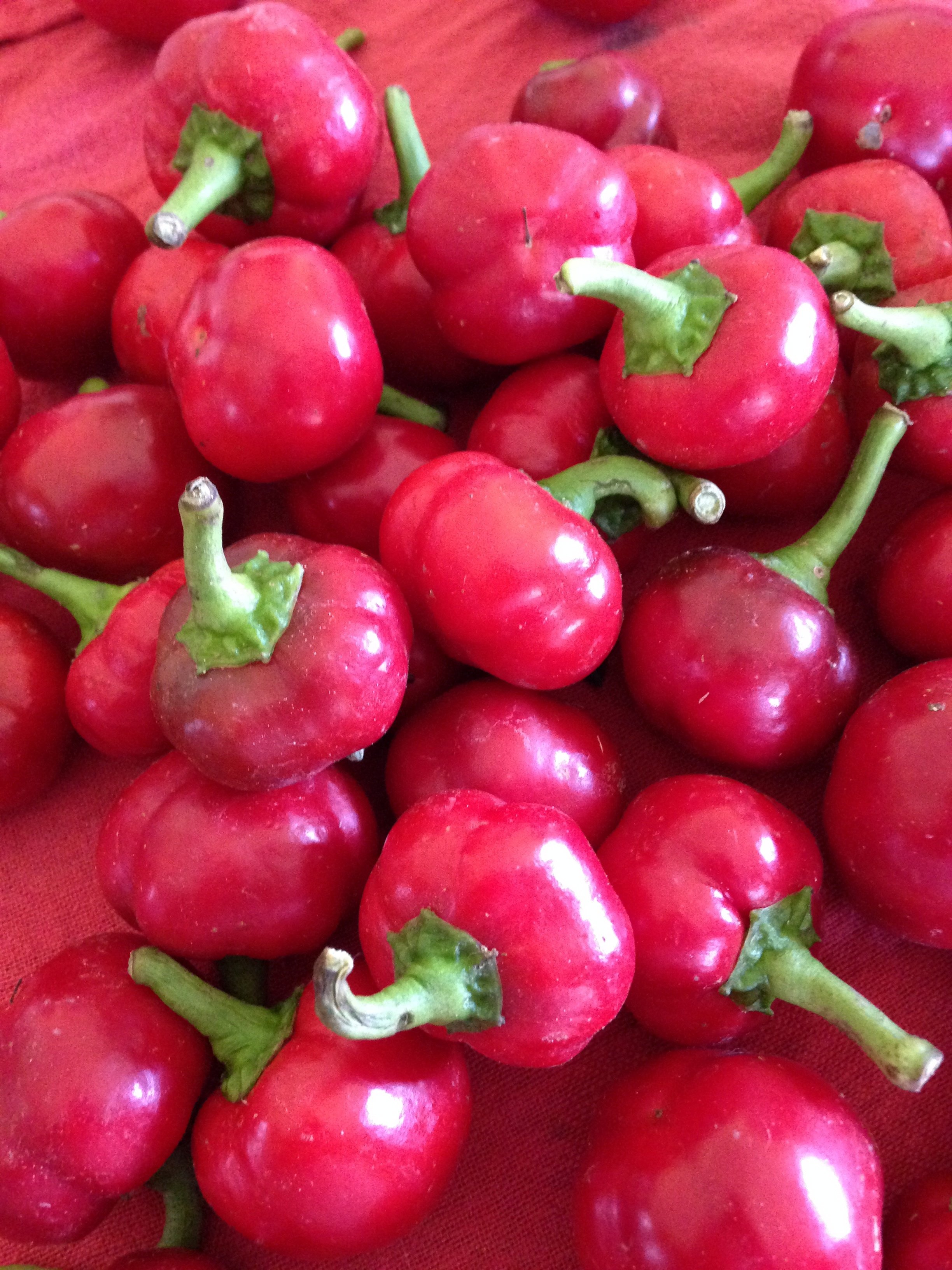 Peppers (Hot Cherry)