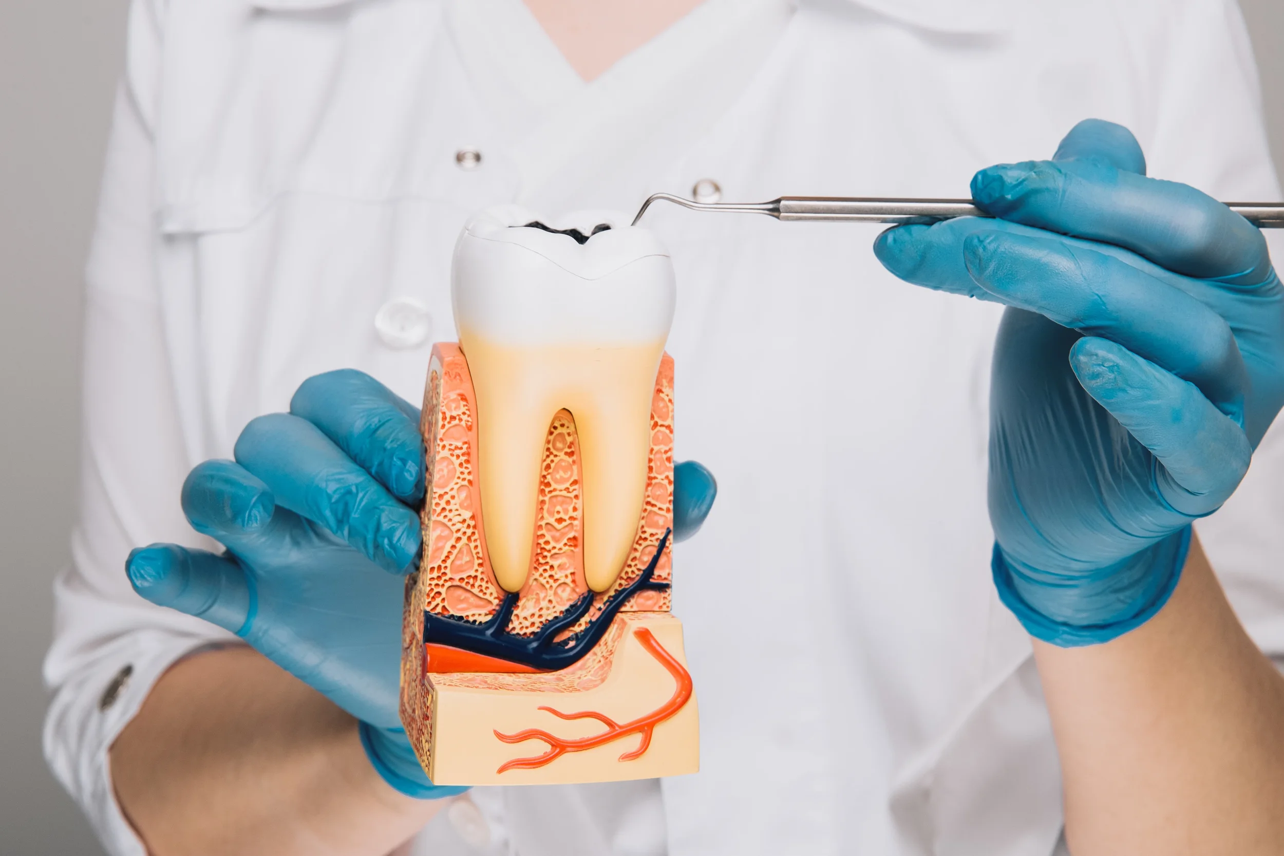 Dentista explicando la endodoncia