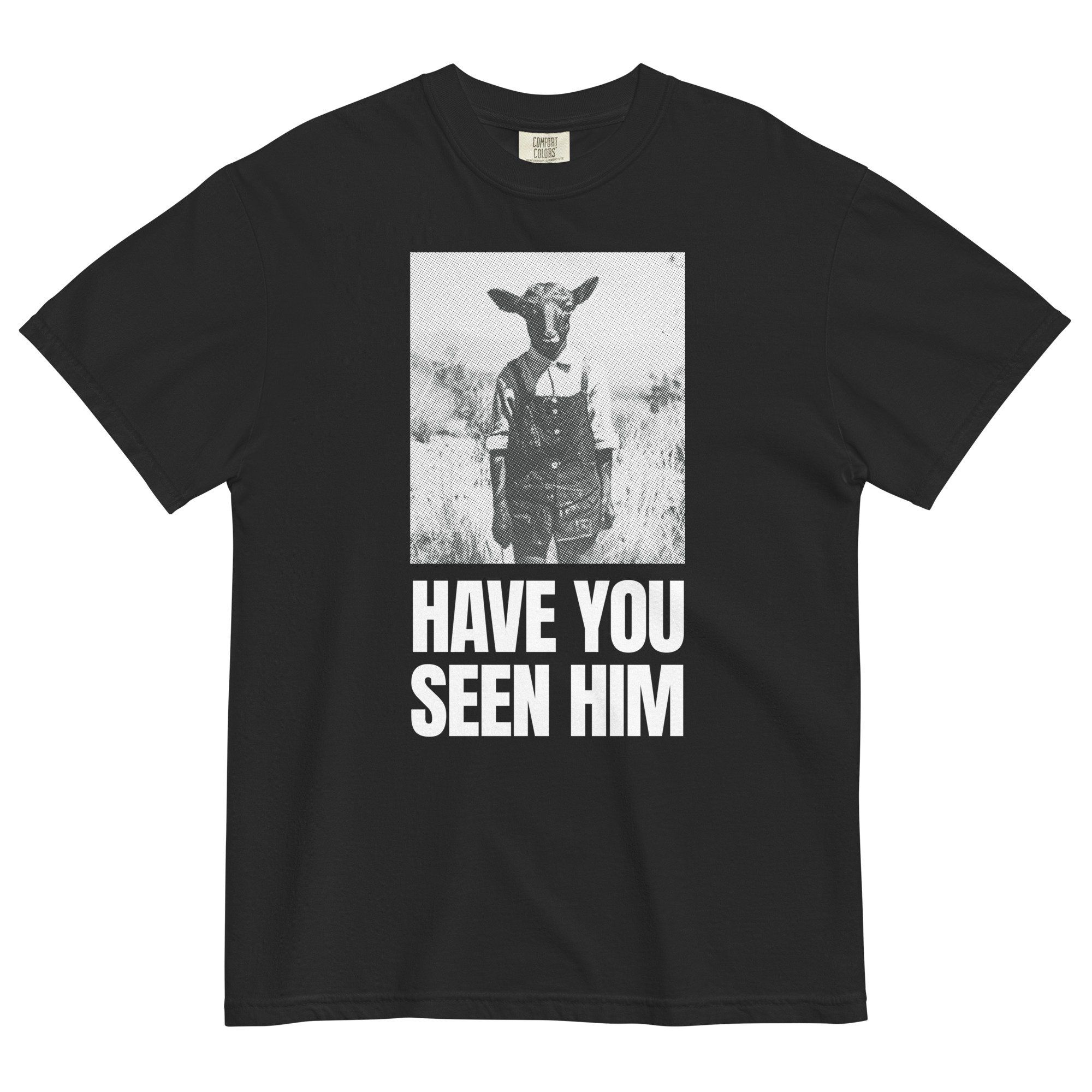 Have You Seen The Lamb Boy of Amboy Tee Shirt - Black