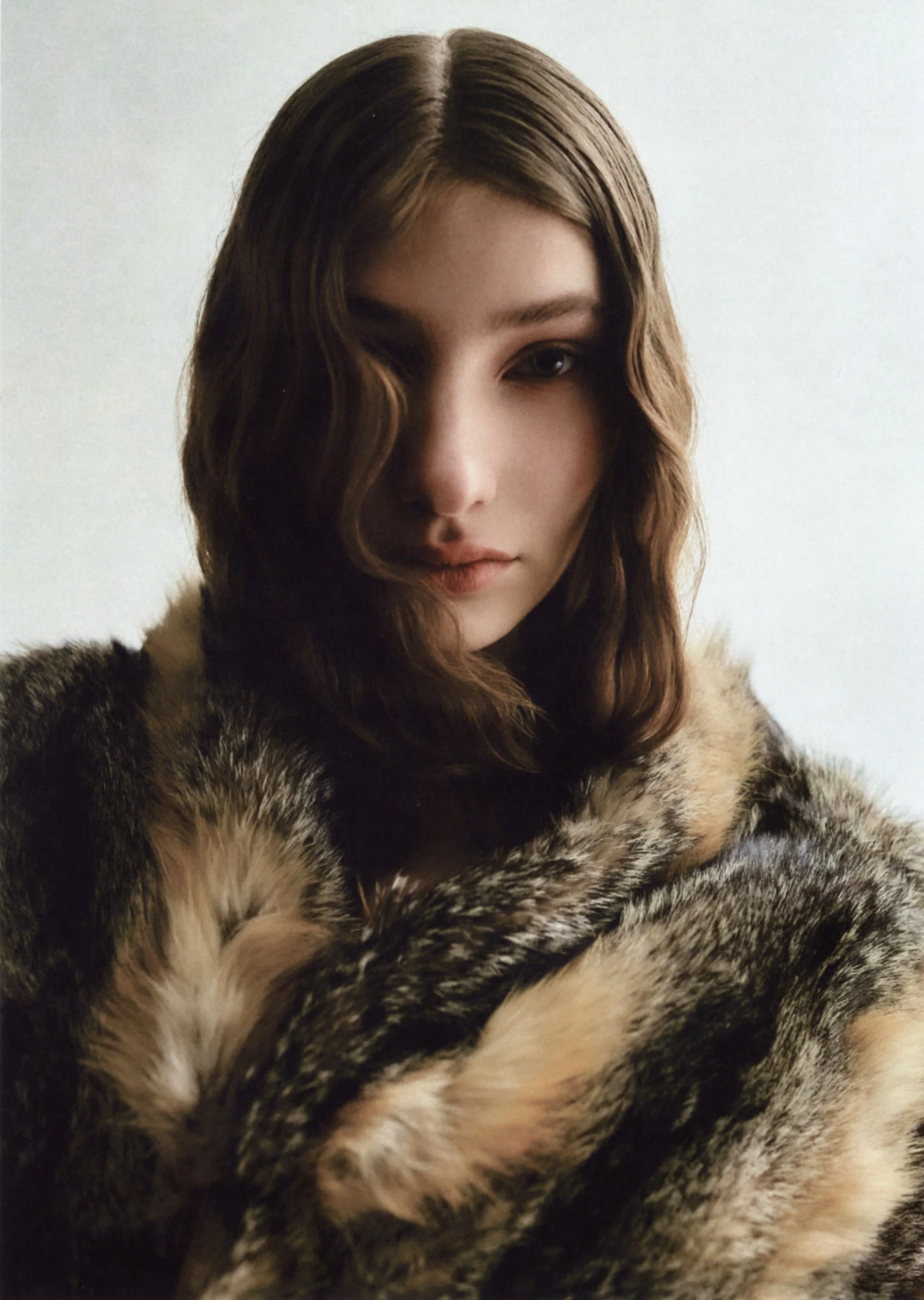 Dani Jones by Jess Brohier