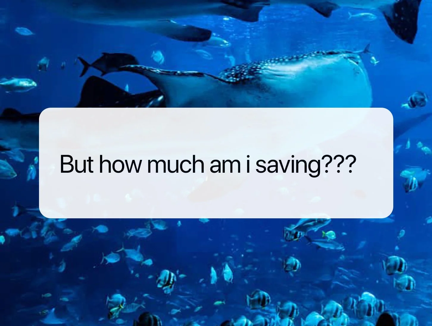 Georgia Aquarium x World of Coke