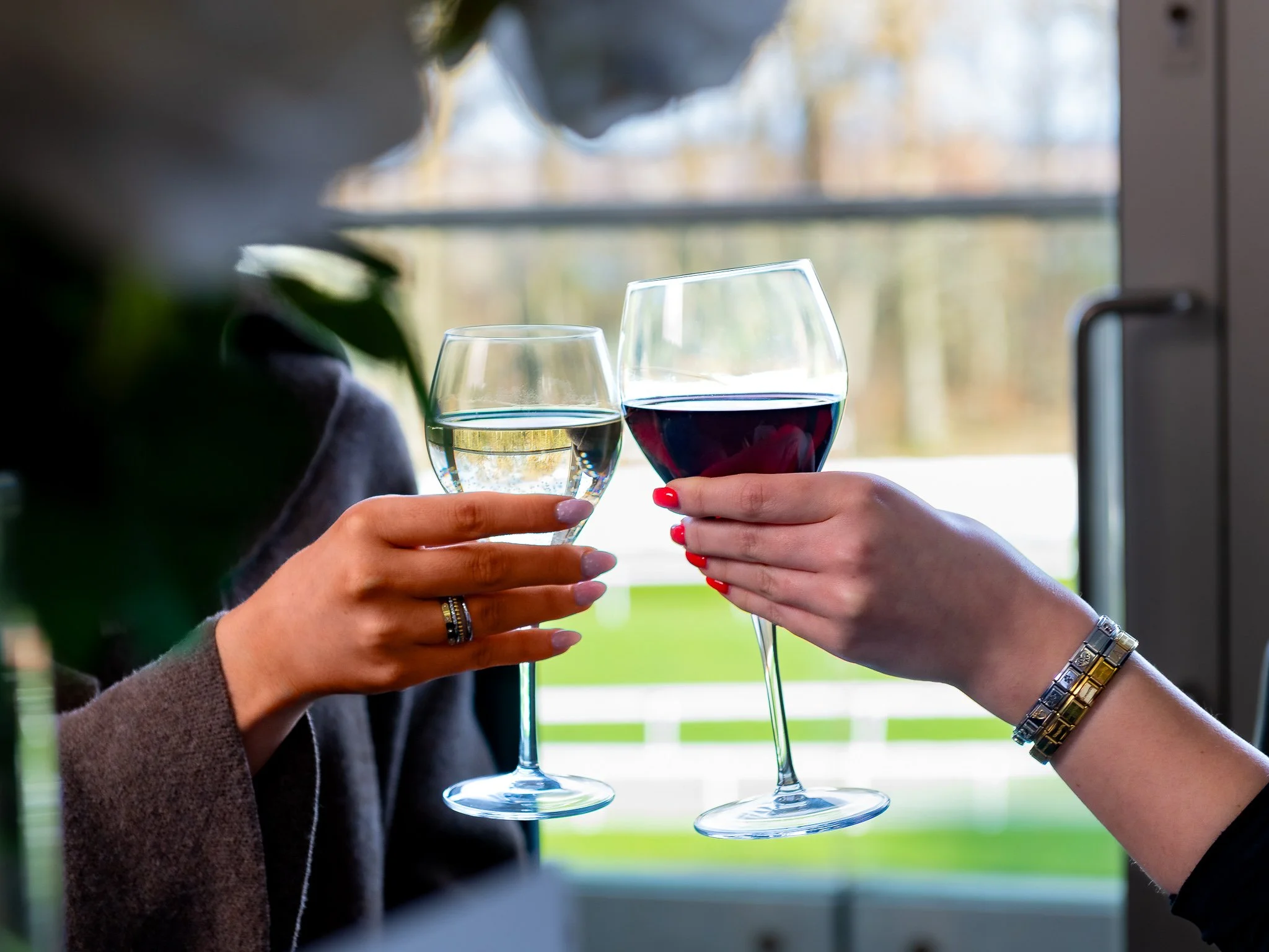 Hamilton Park Racecourse guests toasting red wine – hospitality event photography Scotland