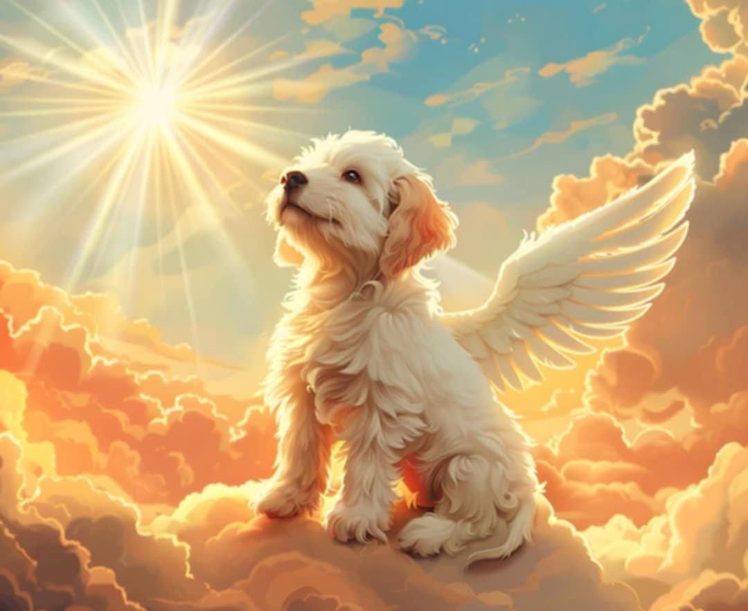 Dogs as Grounding Anchors for Humans