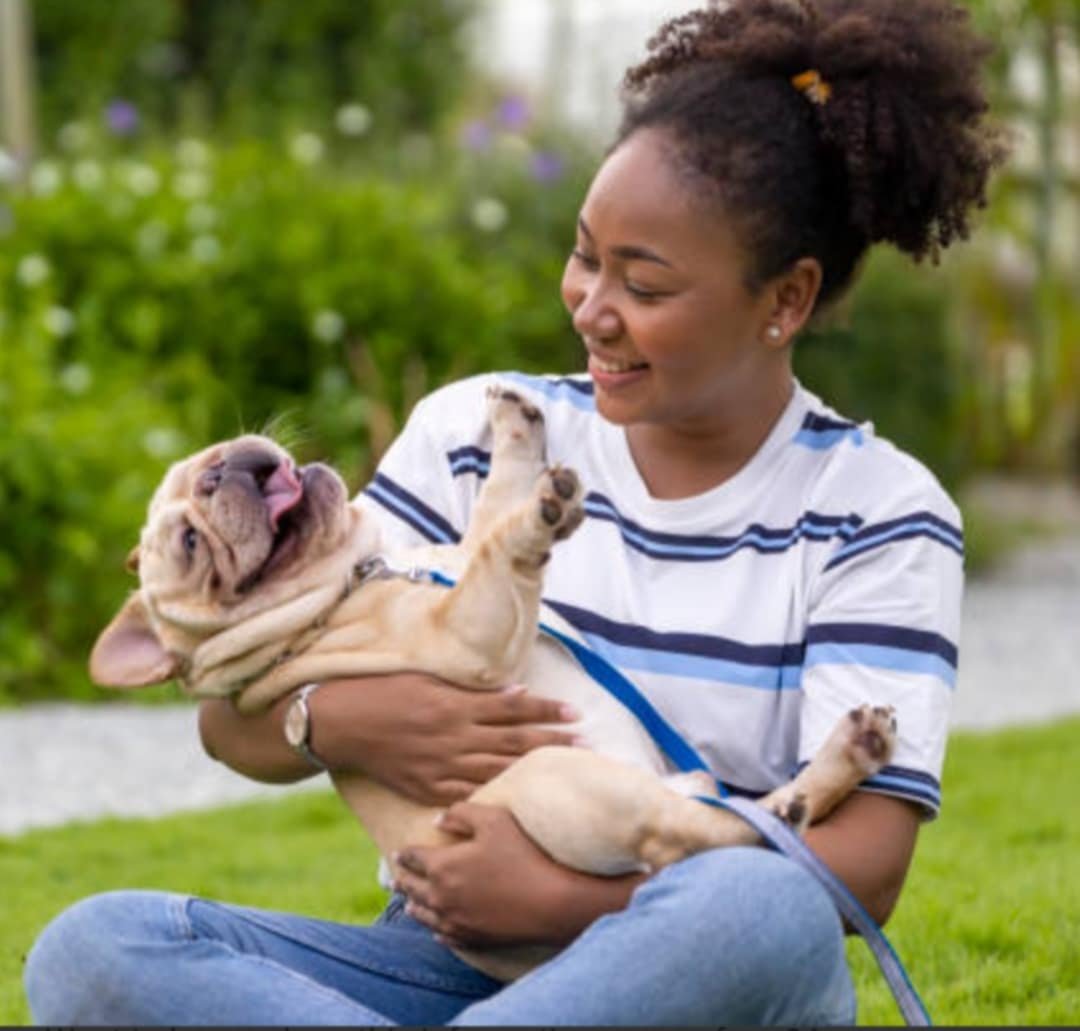 Options for Dog Owners Who Work a Regular 9-to-5: Keeping Your Pup Happy While You’re Away