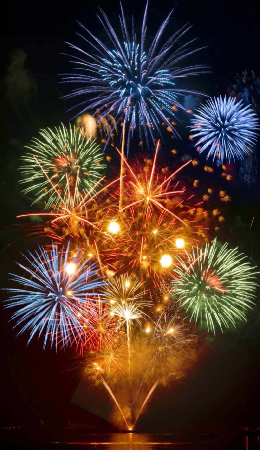 Keeping Your Pets Safe During 4th of July Festivities
