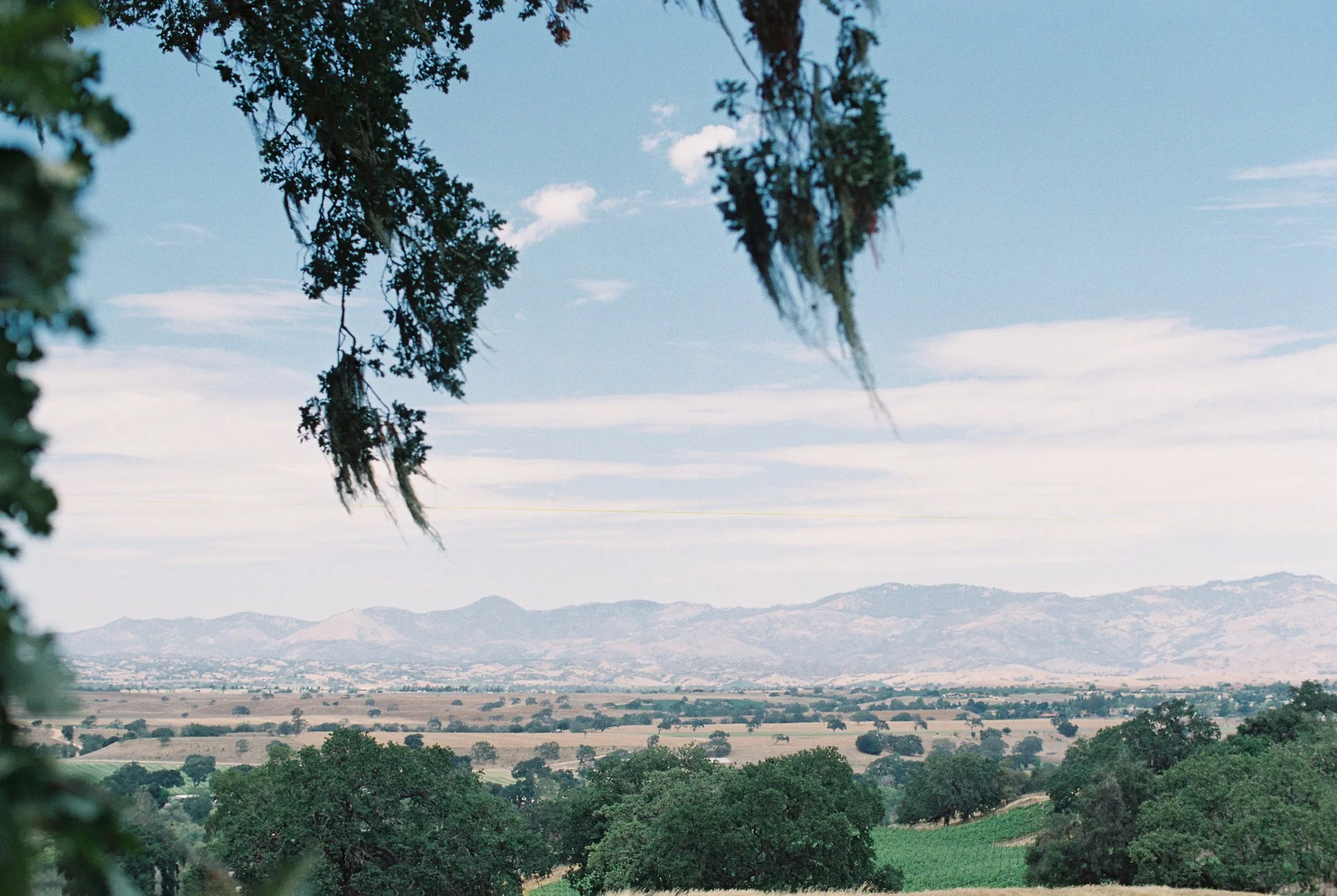 Scenic view of rolling hills, trees, and open fields at Refugio Ranch.