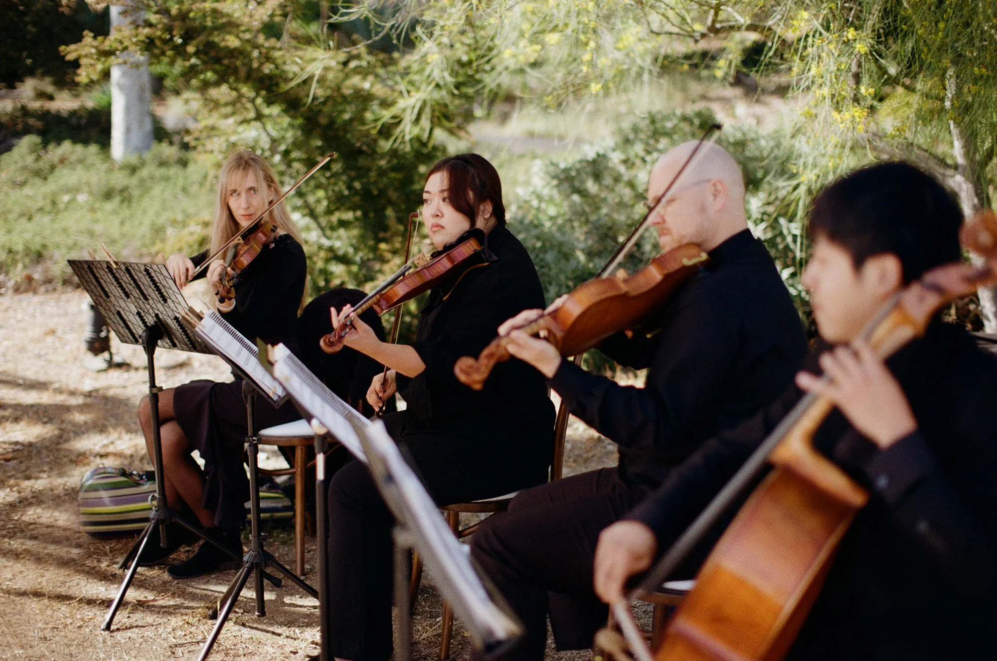 String quartet photographed by Michael & Anna Costa