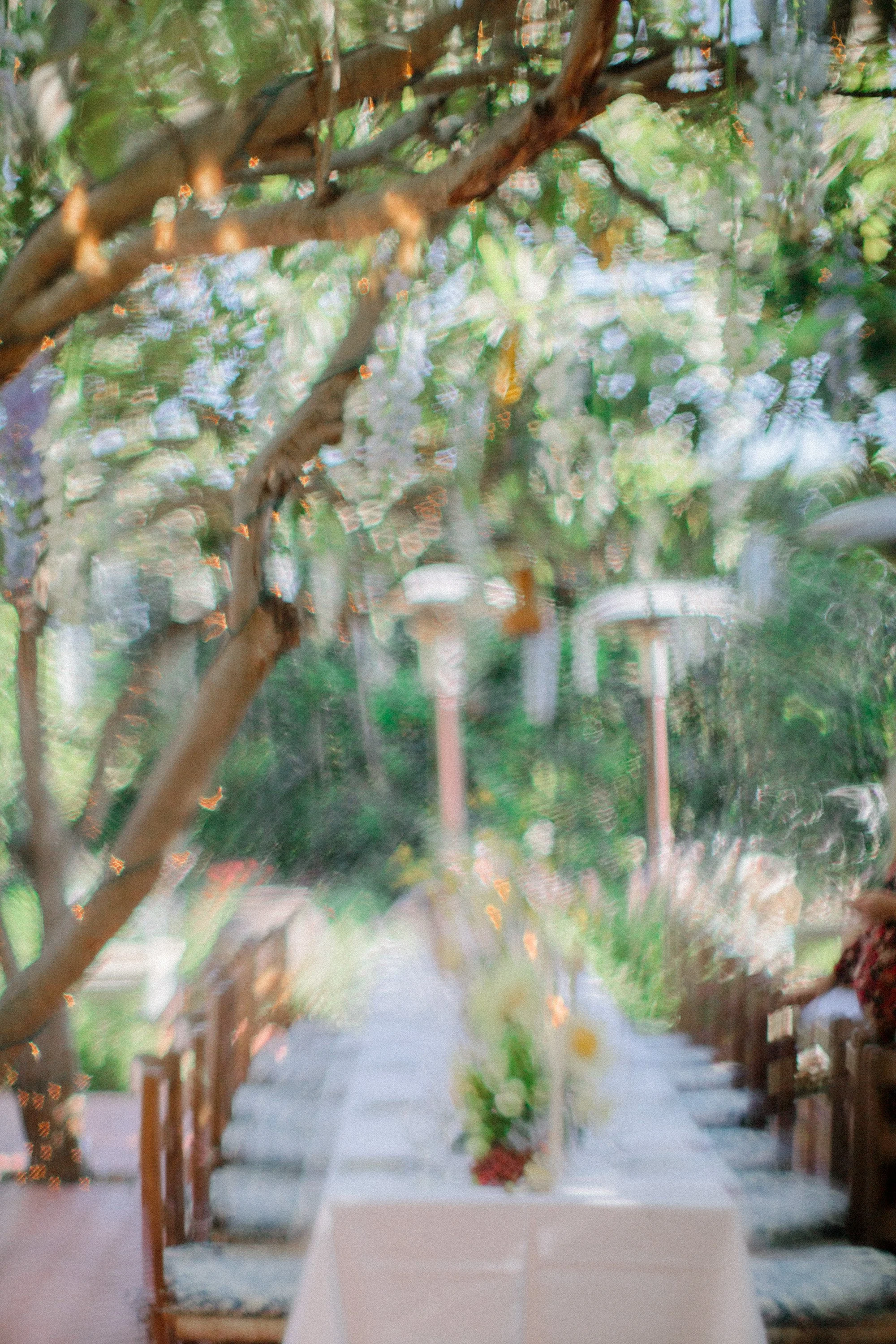 Tree-lined outdoor wedding ceremony aisle with hanging lanterns at San Ysidro Ranch, photographed by Michael & Anna Costa