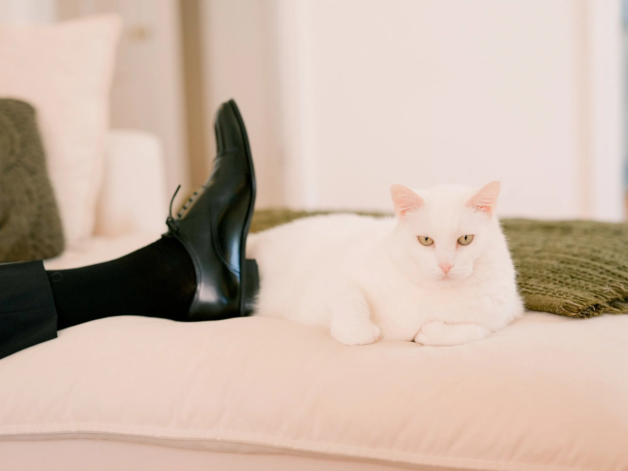 Man relaxing on a bed with a white cat lying beside him.