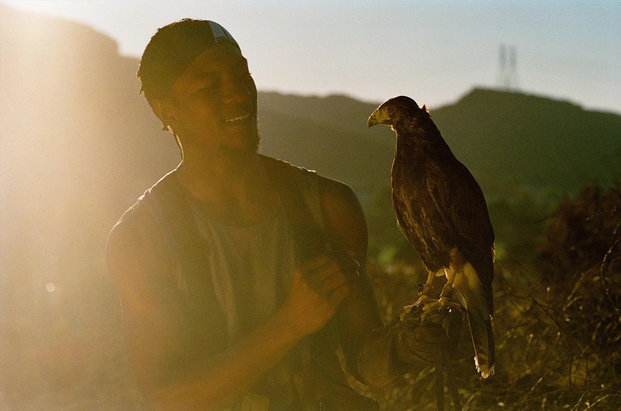 05-falconer-veonte-hawk-natural-pest-control.jpg.JPG